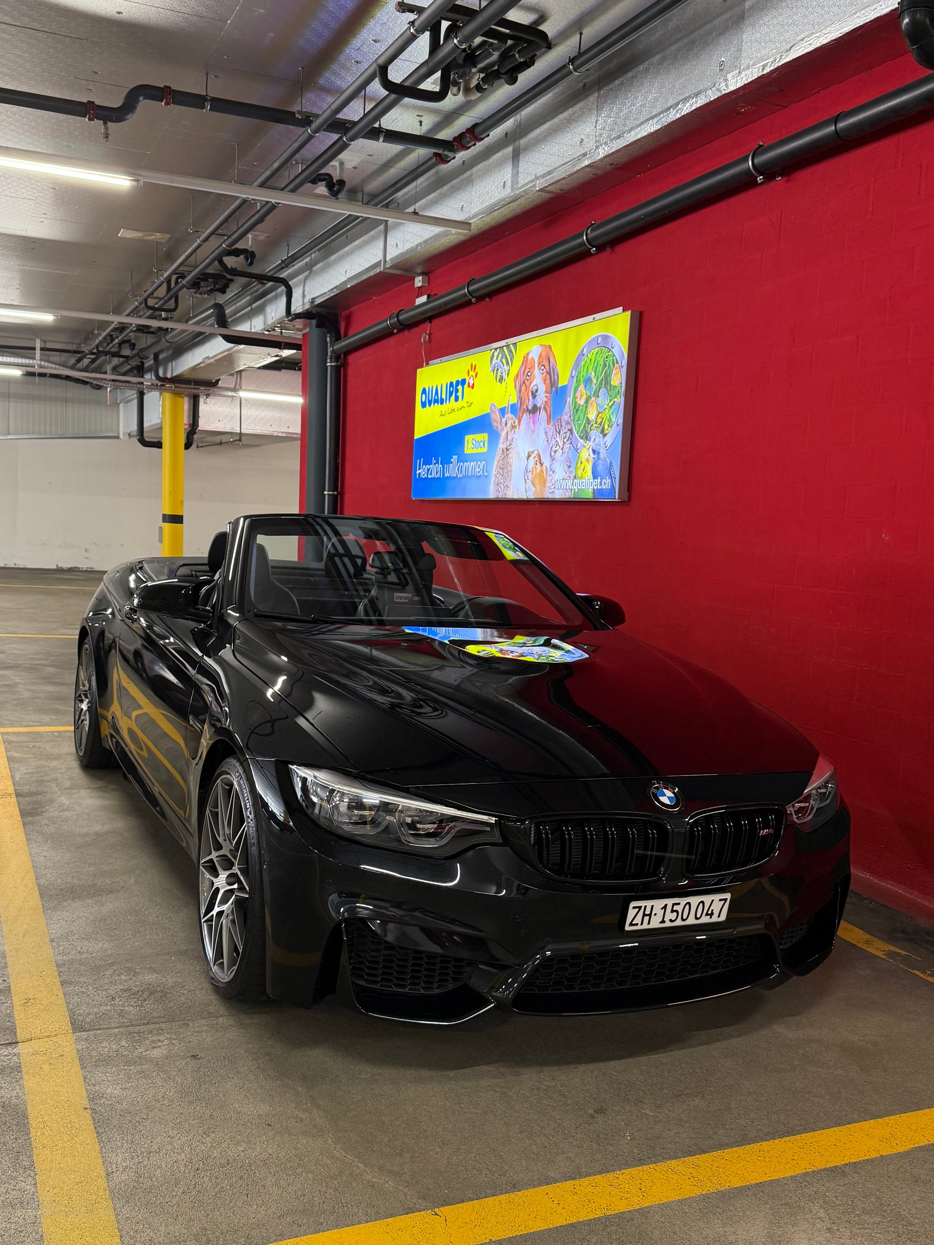 BMW M4 Cabriolet Competition DKG - Dähler 514 PS!-image-11