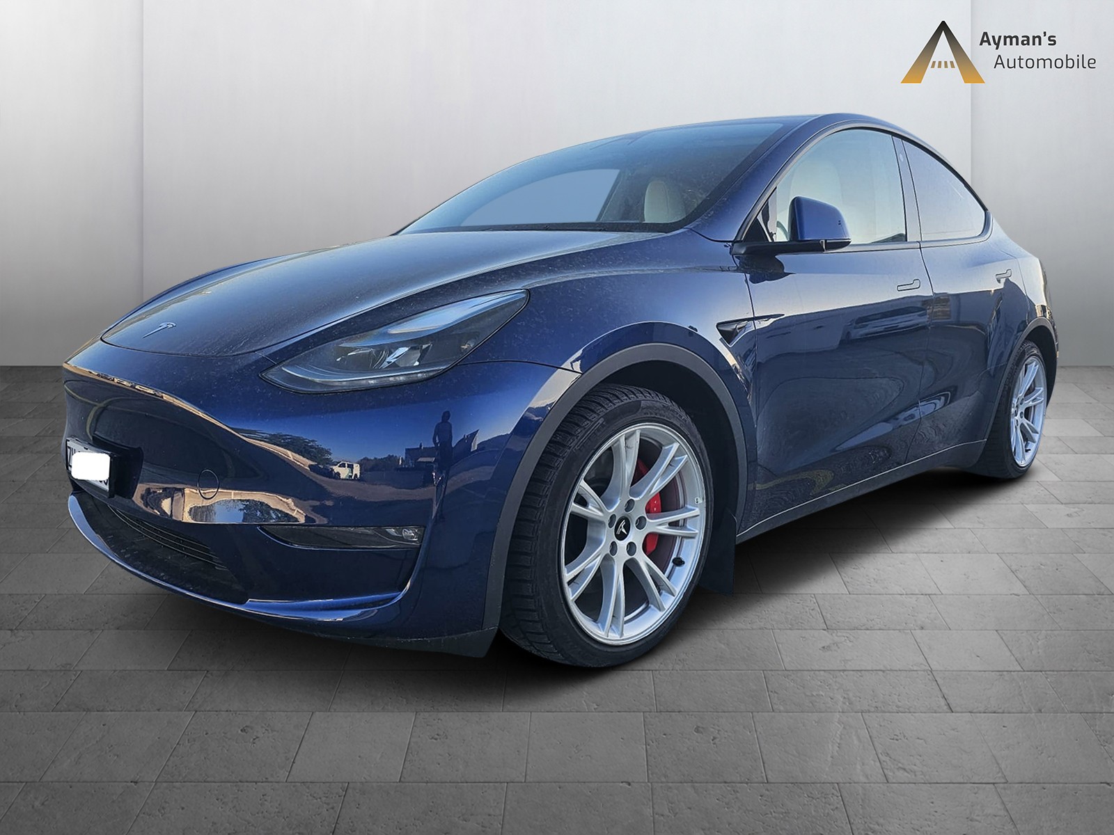 TESLA Model Y Performance-image-2