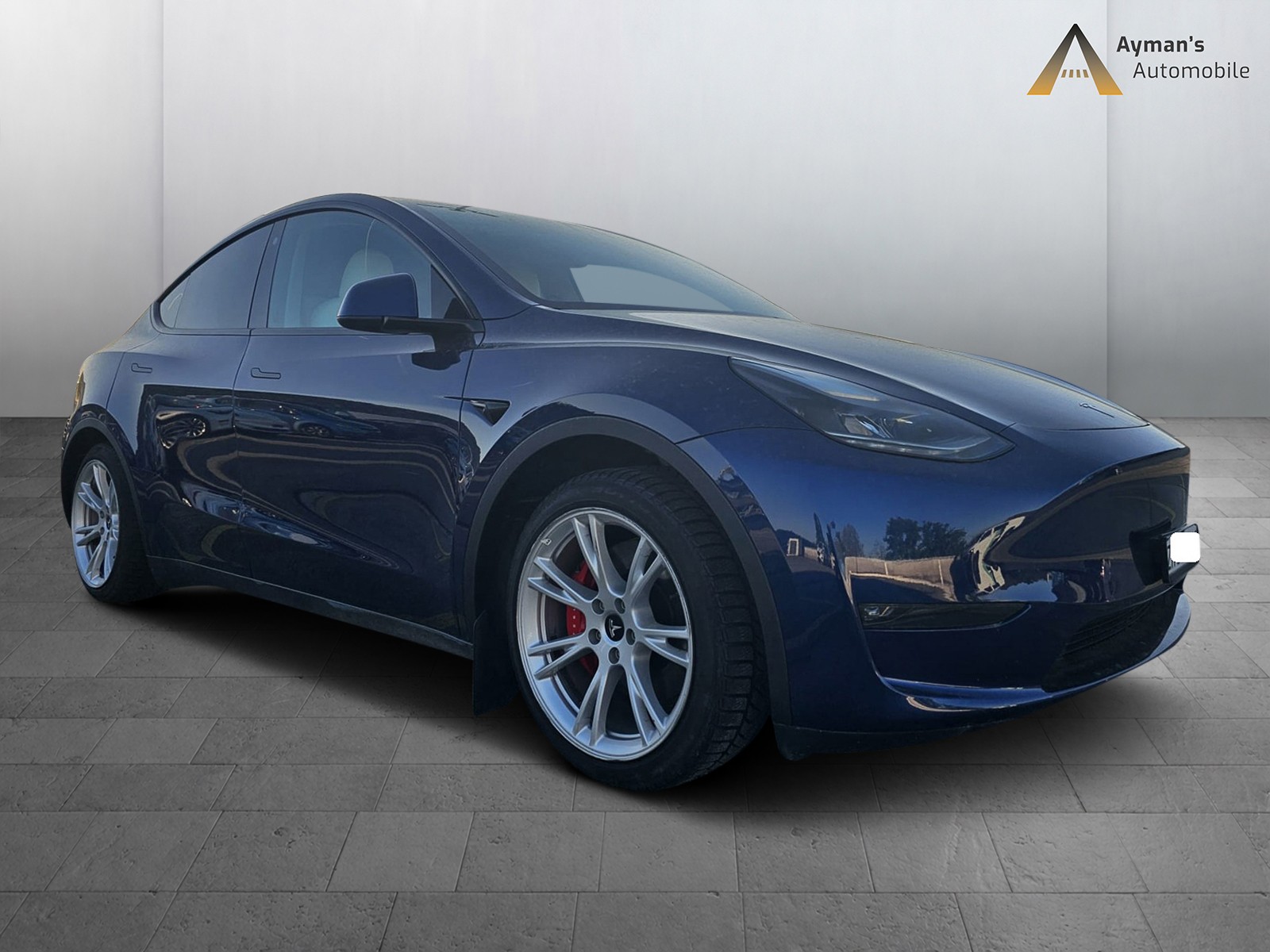 TESLA Model Y Performance-image-3