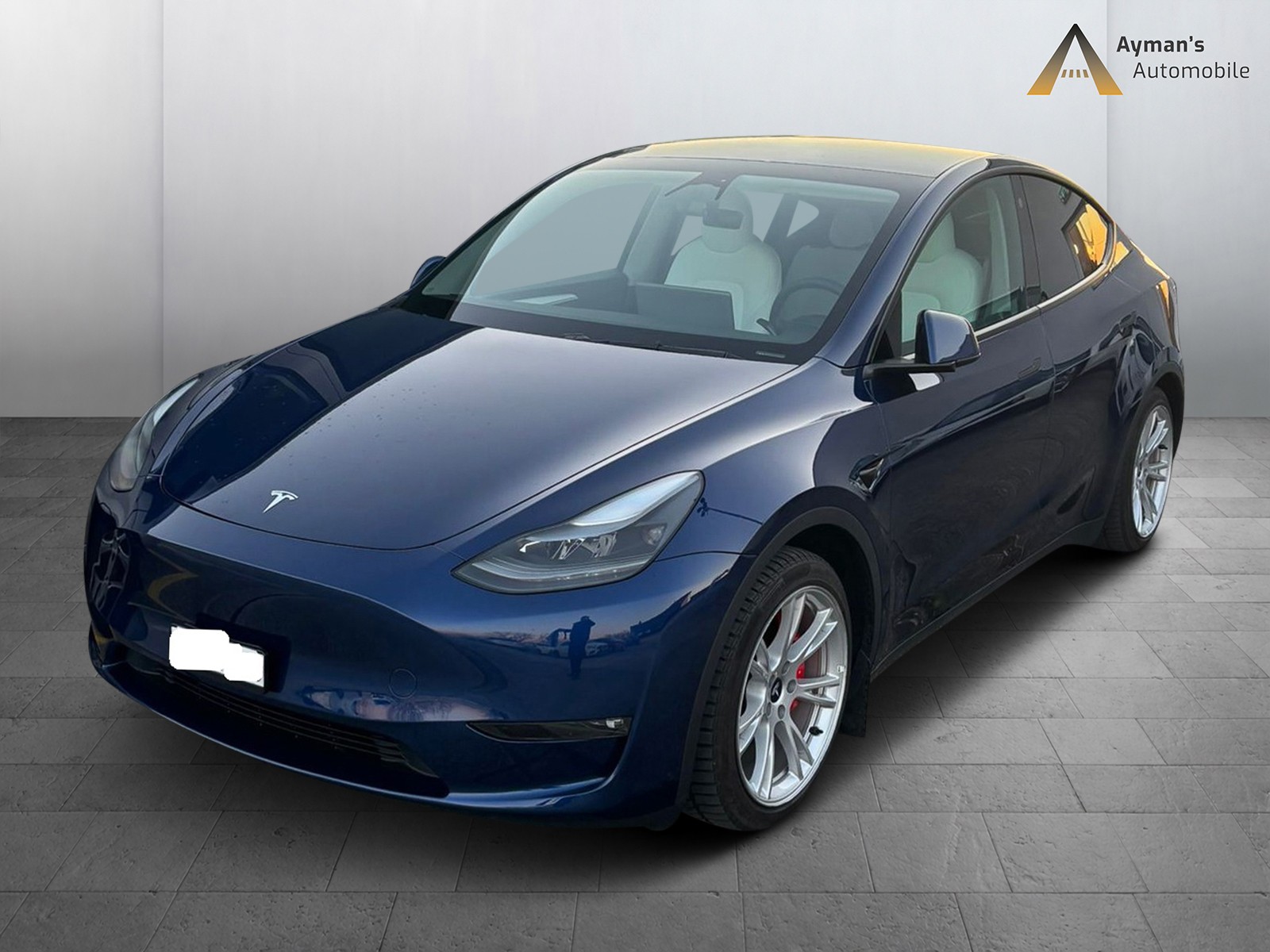 TESLA Model Y Performance-image-0