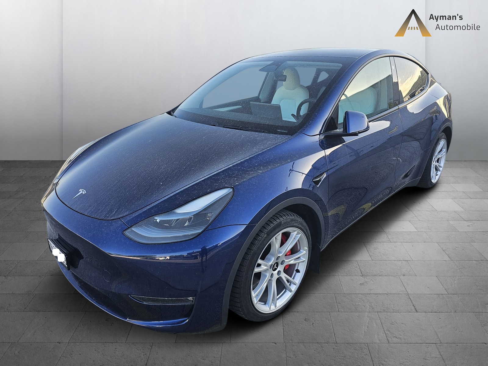 TESLA Model Y Performance-image-1