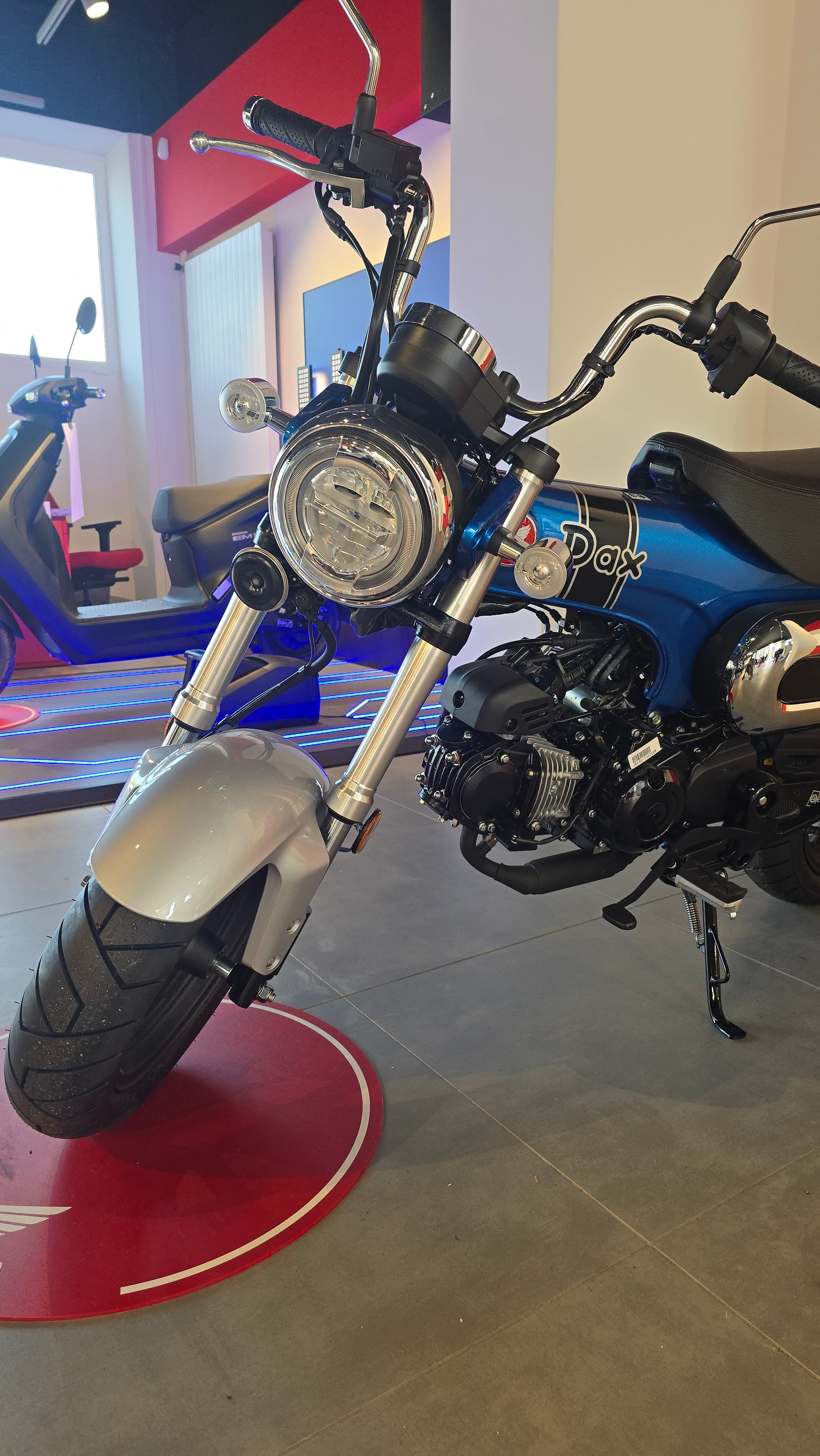HONDA St 125 Dax-image-4