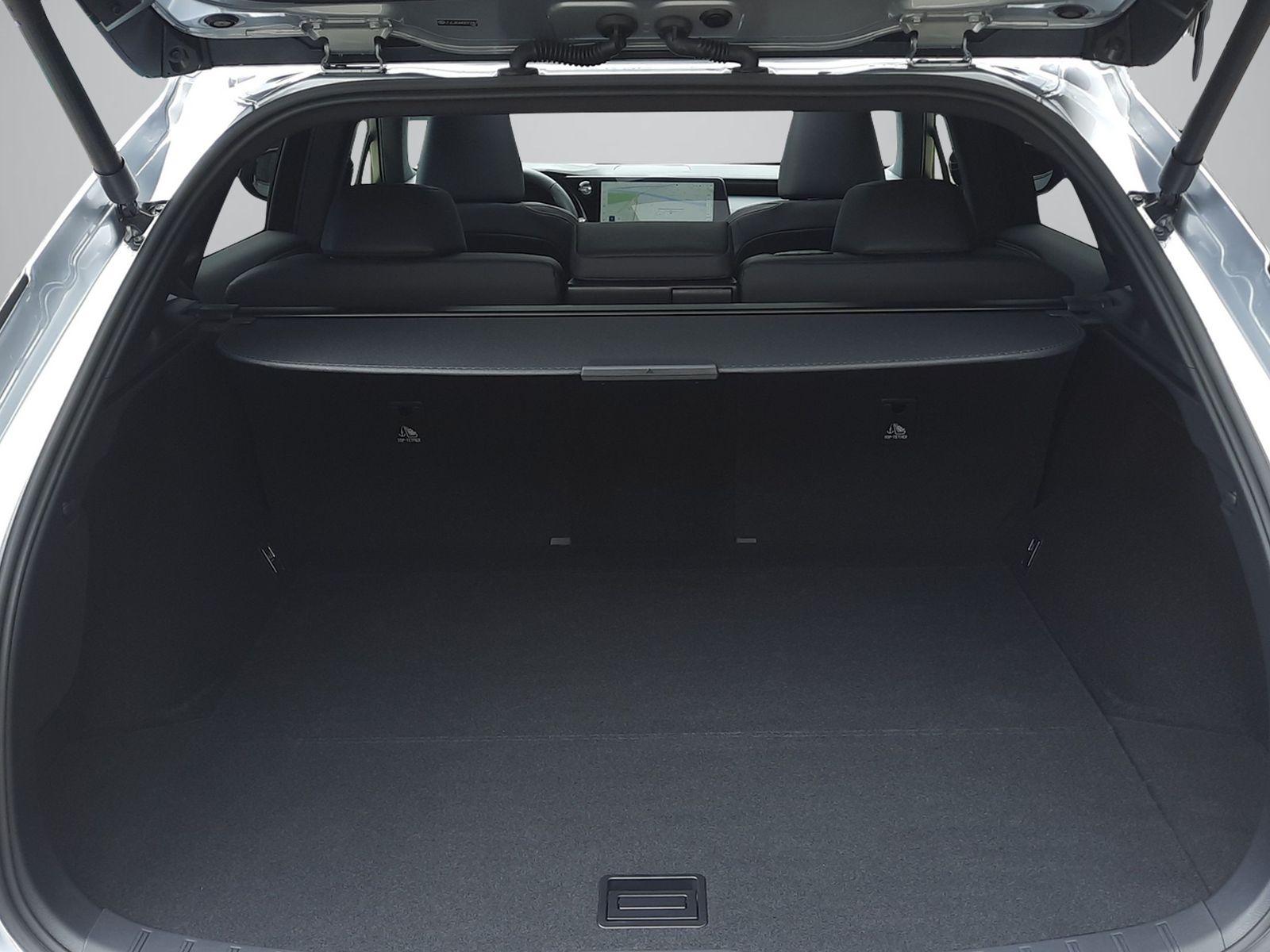 LEXUS RX 450h+ Comfort-image-15