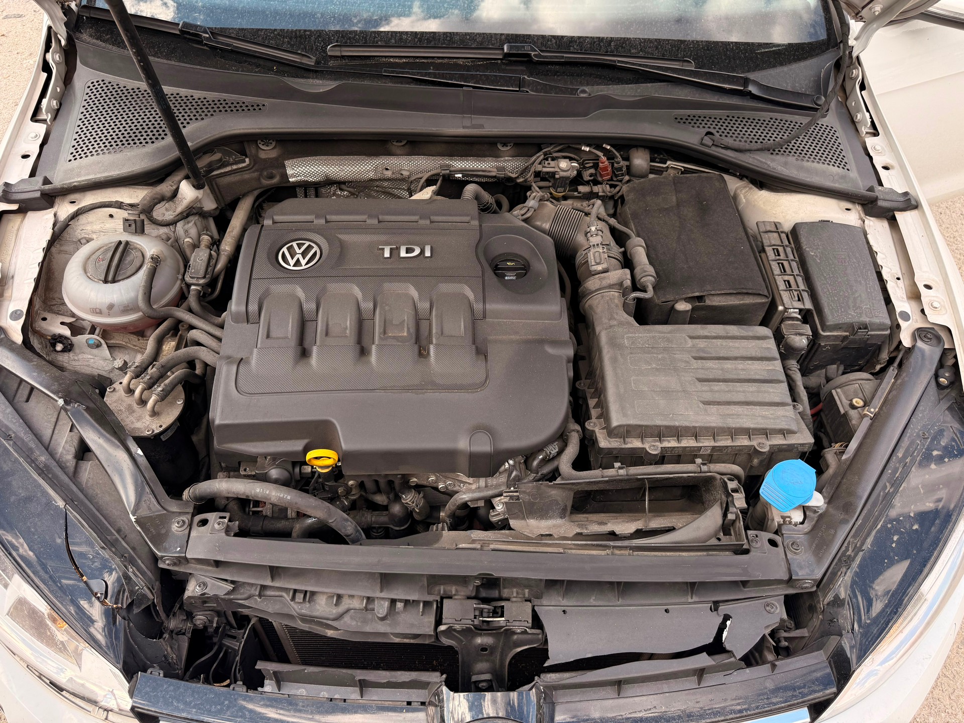 VW Golf Variant 1.6 TDI Allstar 4Motion-image-12