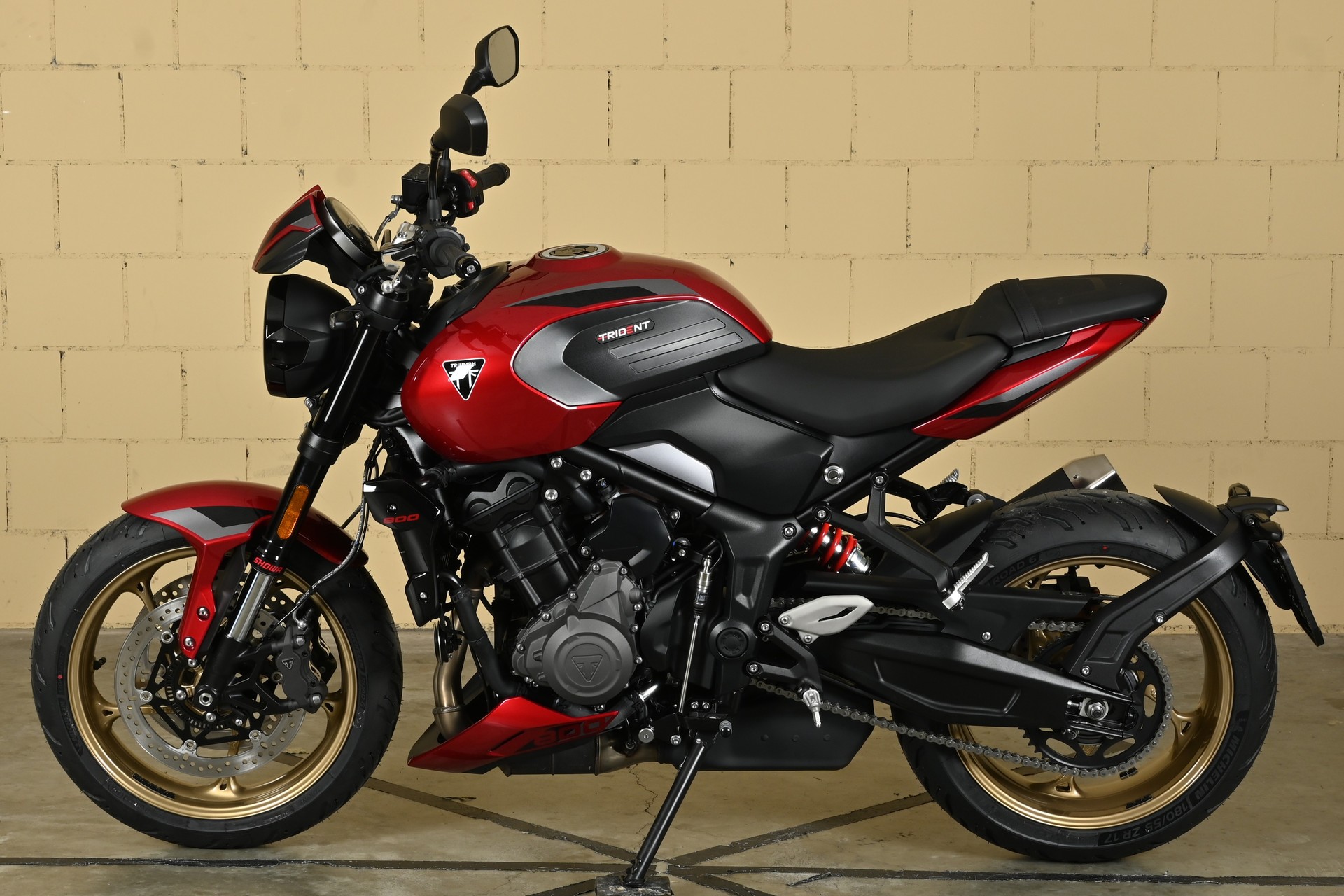 TRIUMPH 800-showroom-element-3