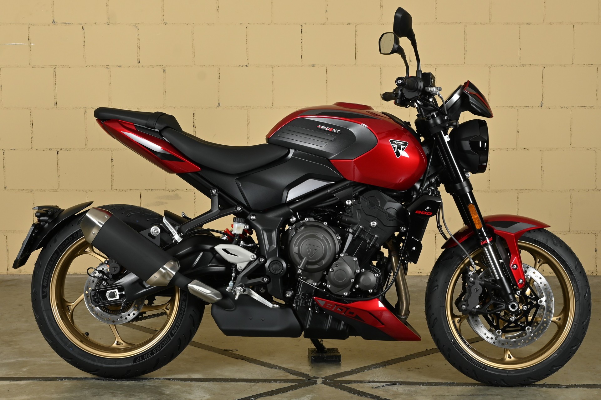 TRIUMPH 800