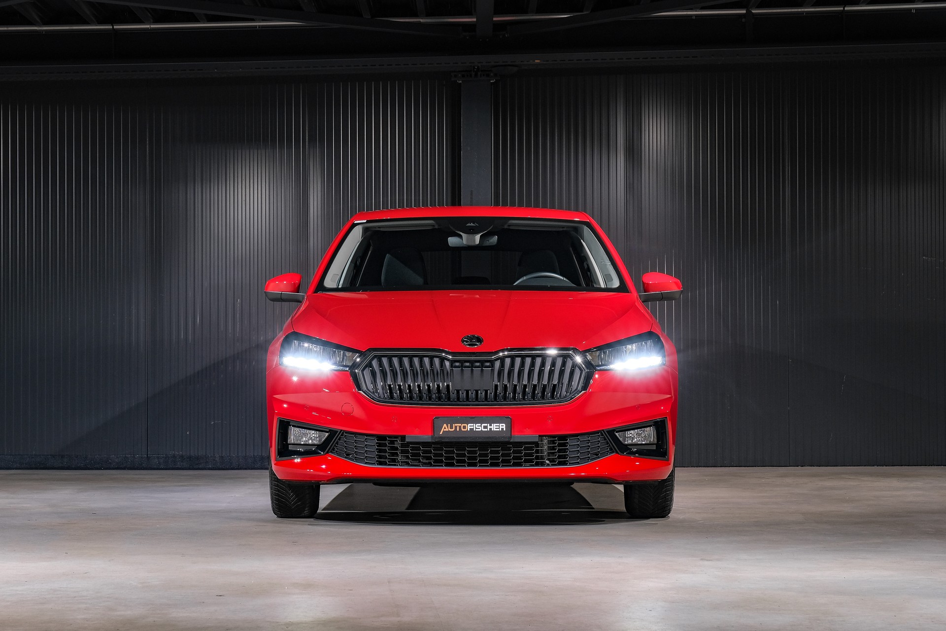 SKODA Fabia 1.0 TSI Selection DSG-showroom-element-2