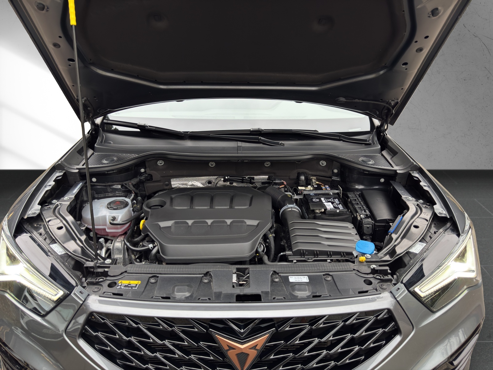 CUPRA Ateca 2.0TSI 4Drive DSG-image-20
