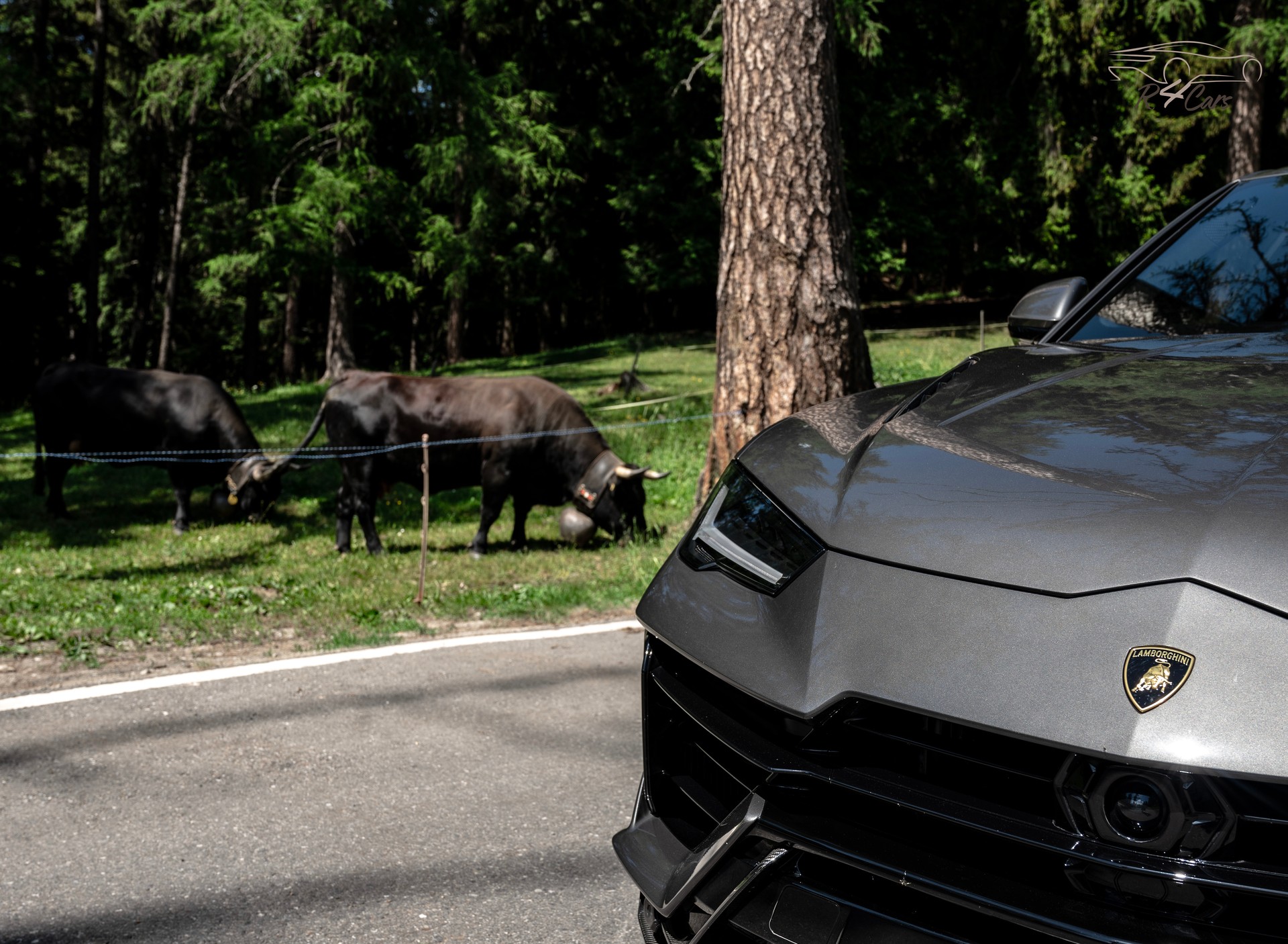 LAMBORGHINI Performante-image-6