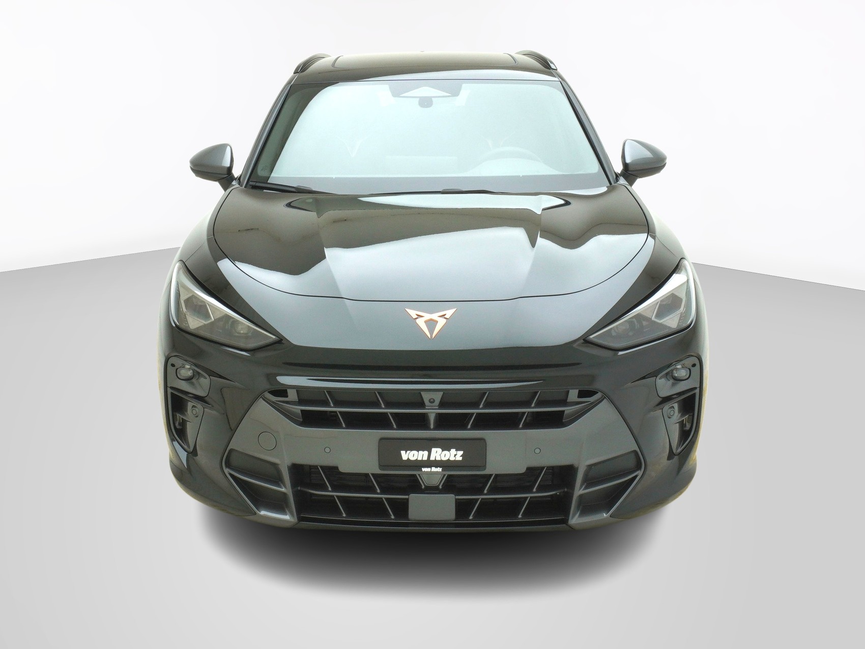 CUPRA Terramar 2.0 TSI VZ 4Drive DSG-image-0