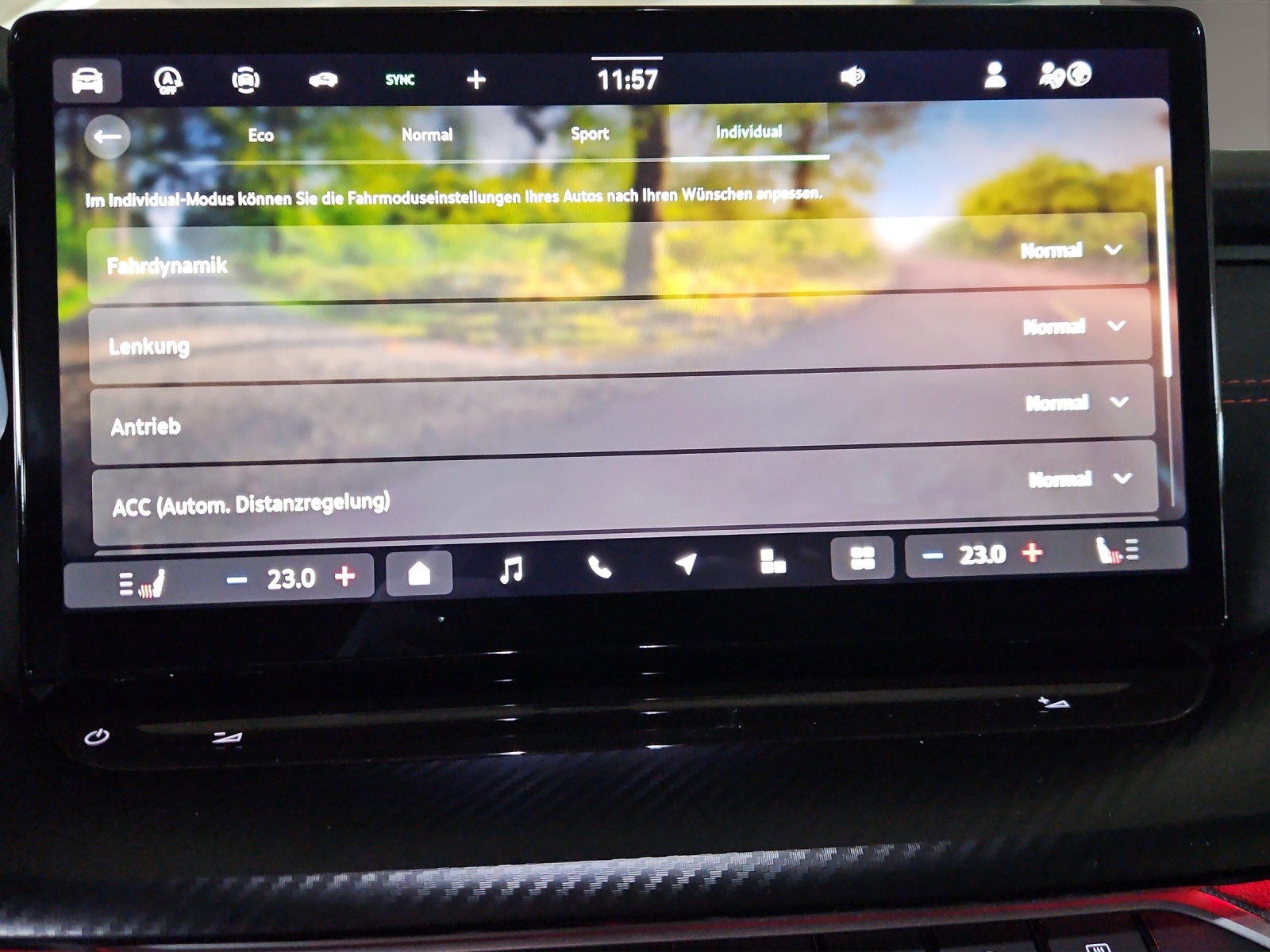 SKODA Octavia Combi 2.0 TSI DSG RS 30 Years Edition-image-16