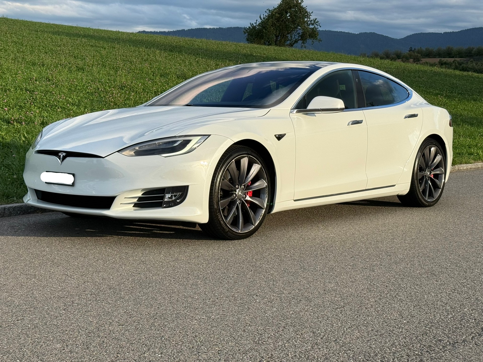 TESLA P100D Lebenslang Gratis Superchargen-image-0
