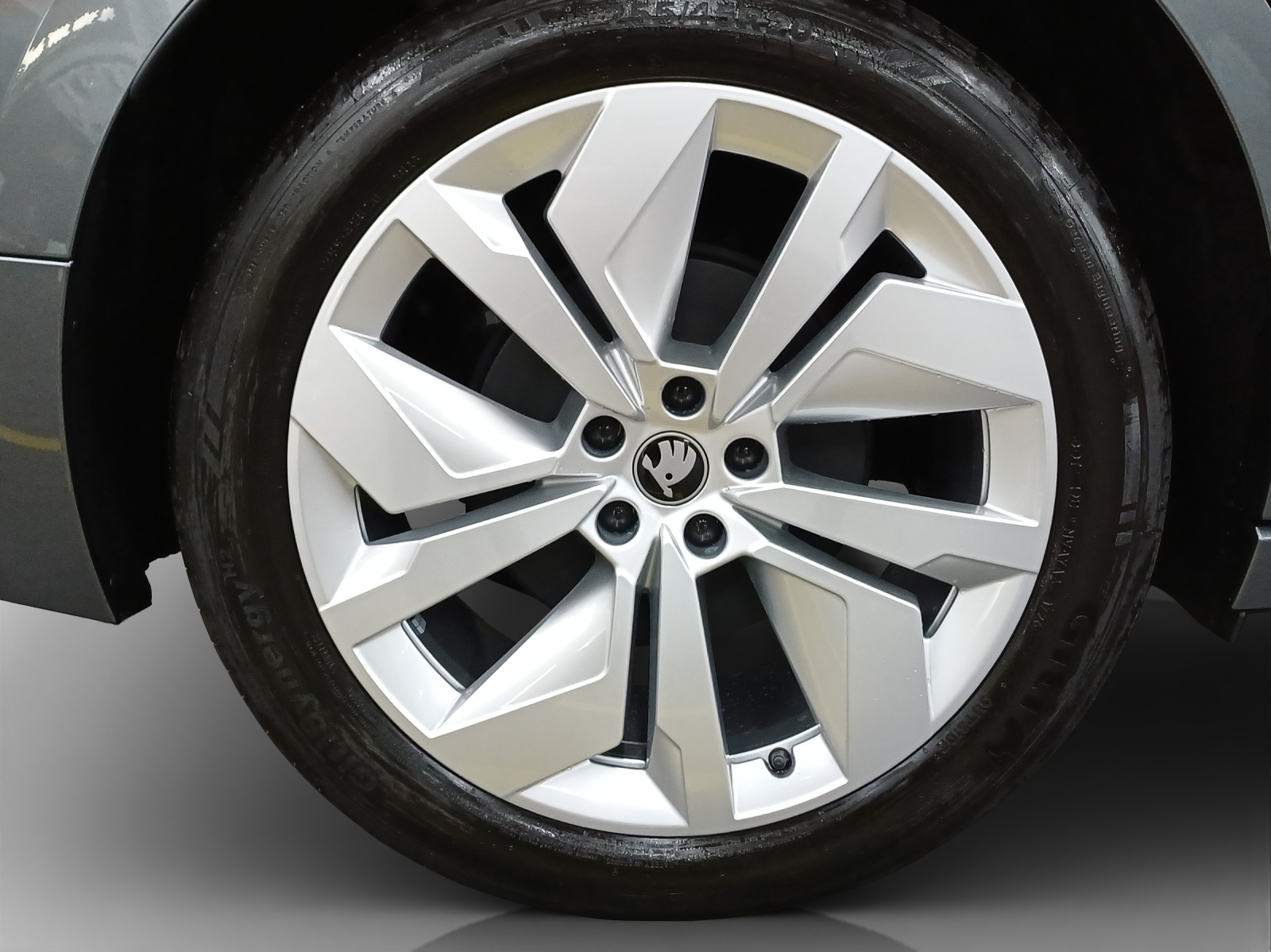 SKODA Enyaq 85x Dynamic 4x4-image-15