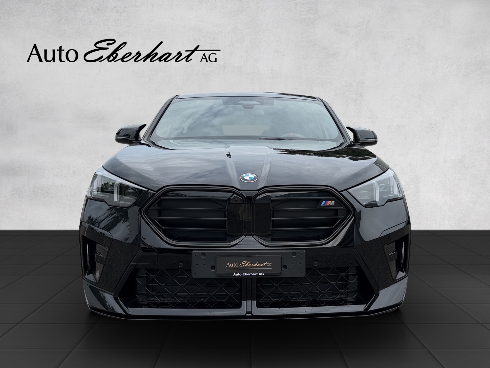 BMW X2 M35i M Sport Pro-image-3