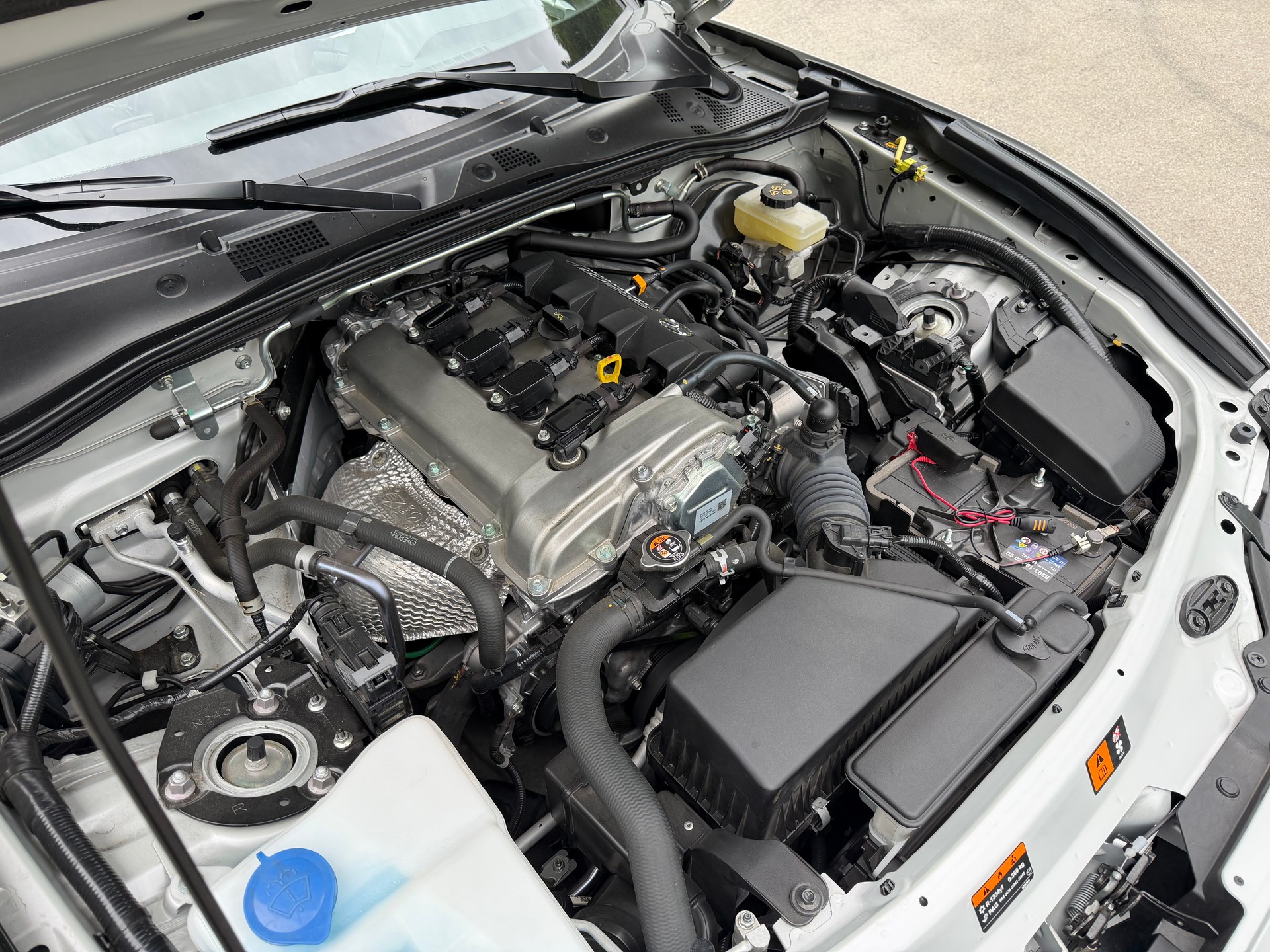 MAZDA 1.5 Ambition-image-16