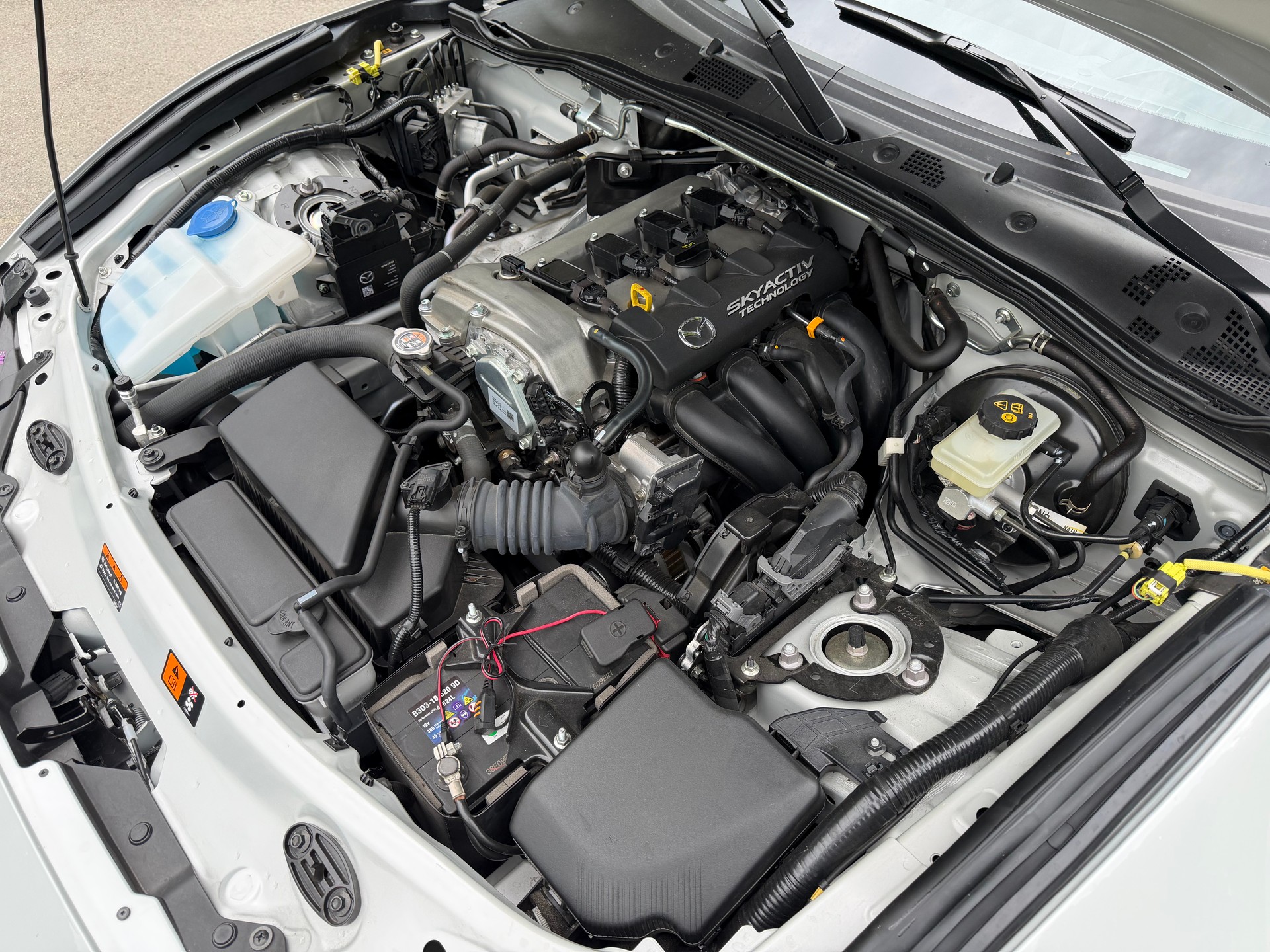 MAZDA 1.5 Ambition-image-15