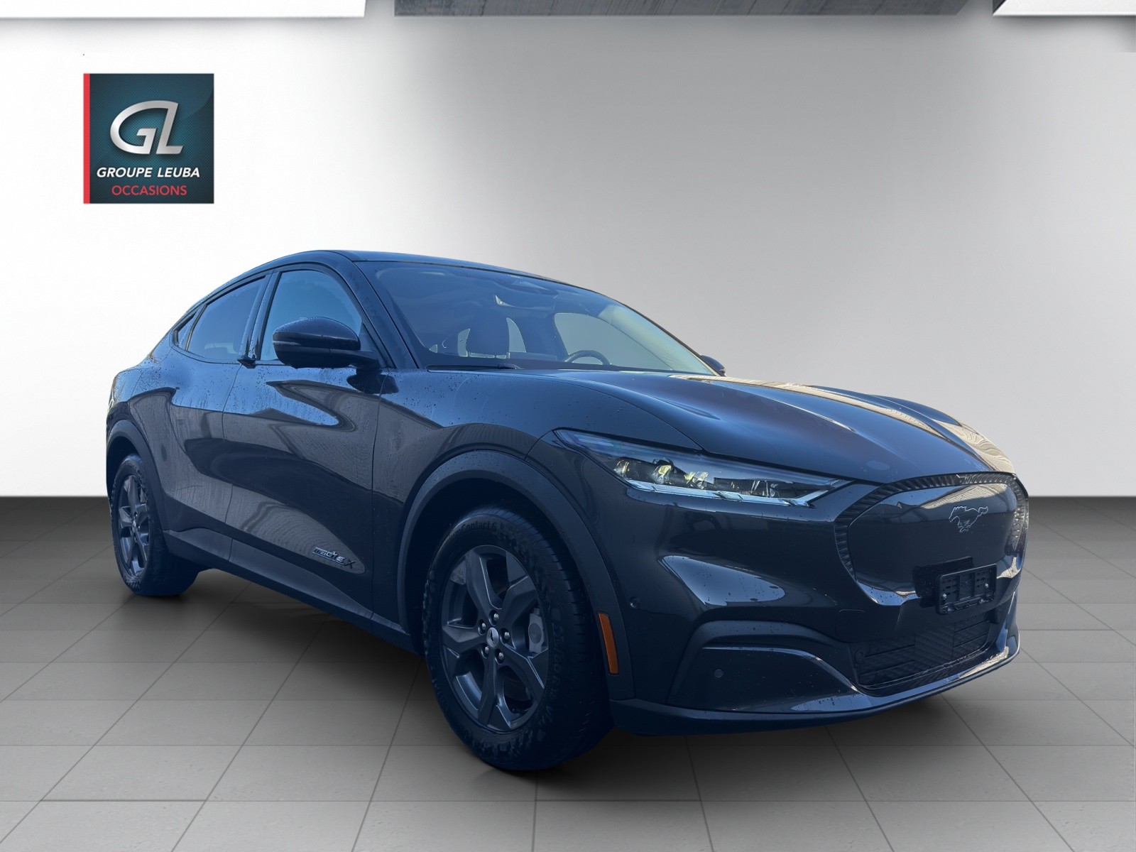 Photo FORD MUSTANG-MACH-E Mustang MACH-E RWD 91 kWh