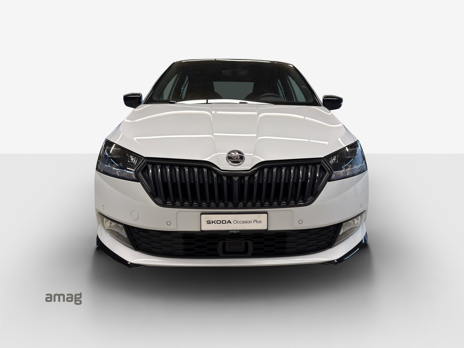 SKODA Fabia 1.0 TSI Monte Carlo-image-6