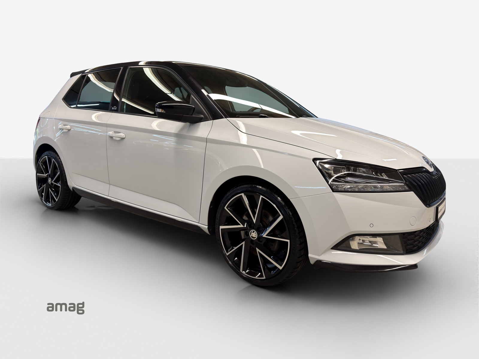 SKODA Fabia 1.0 TSI Monte Carlo-image-5