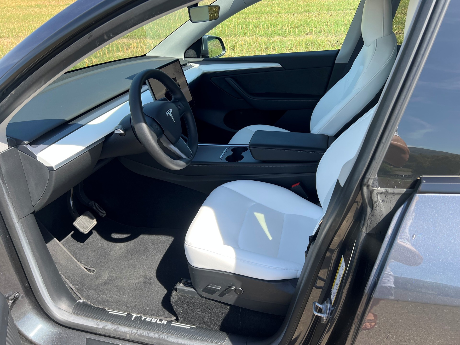 TESLA Long Range D-image-1