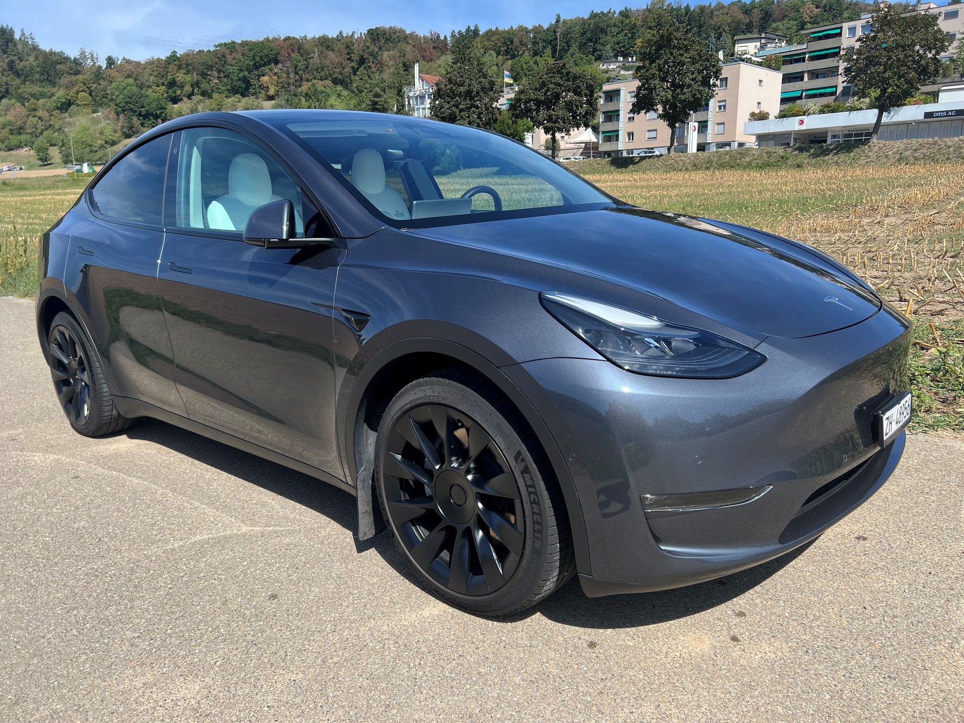 TESLA Long Range D-image-0