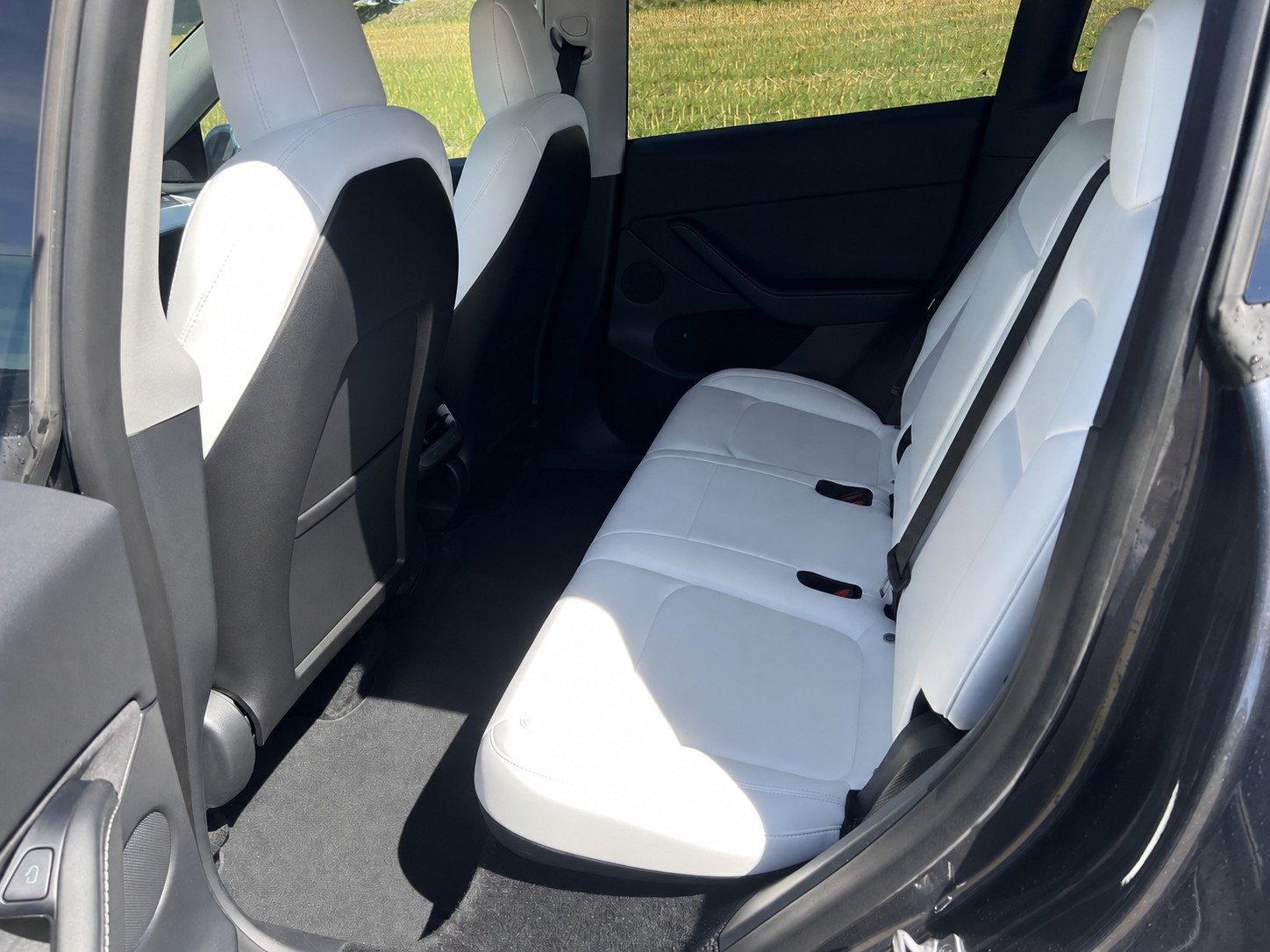 TESLA Long Range D-image-4
