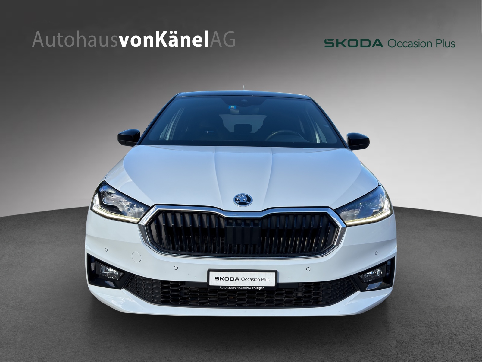 SKODA Fabia 1.5 TSI Style DSG-image-3