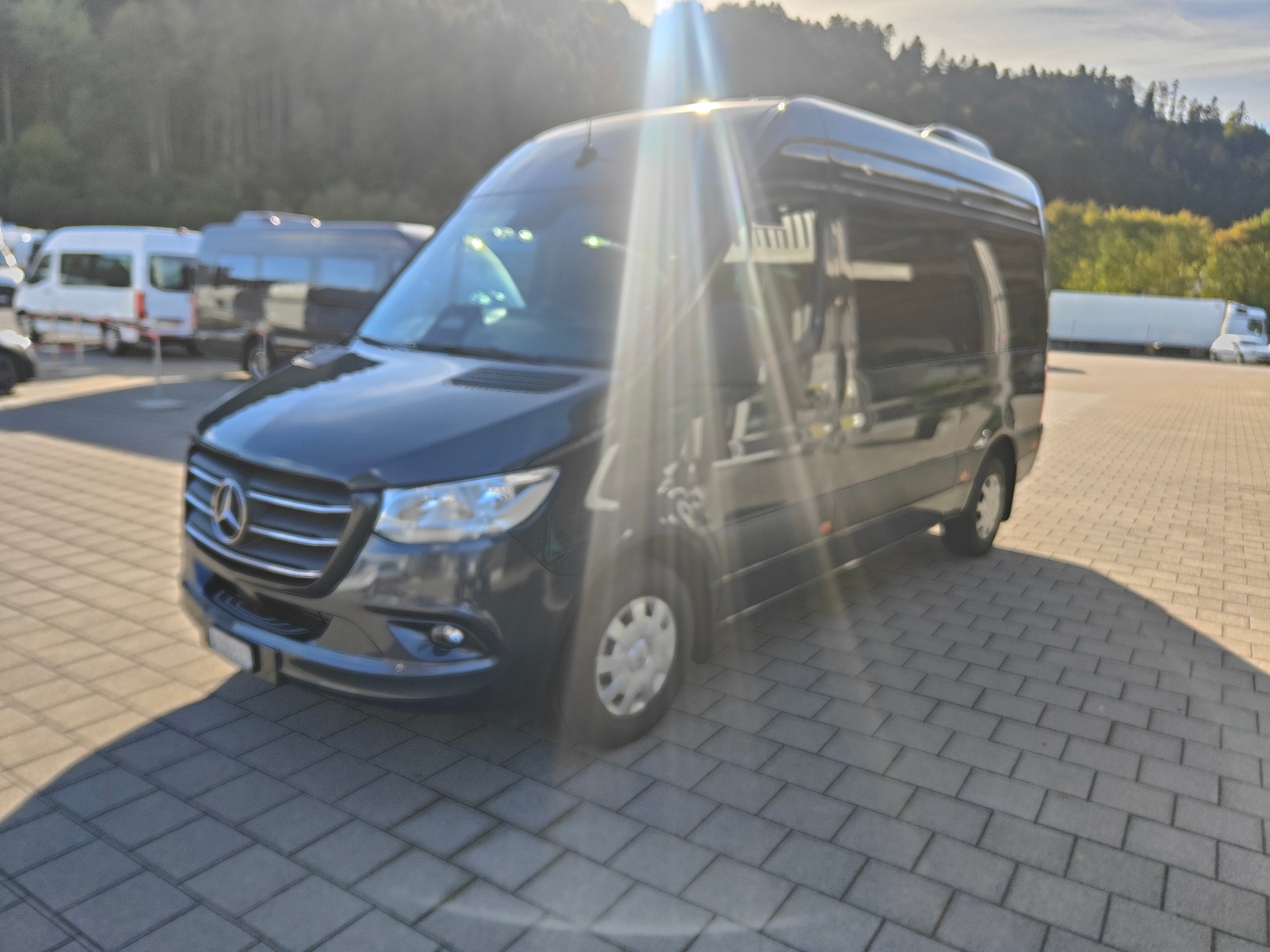 MERCEDES-BENZ 317 VIP Kleinbus-image-3