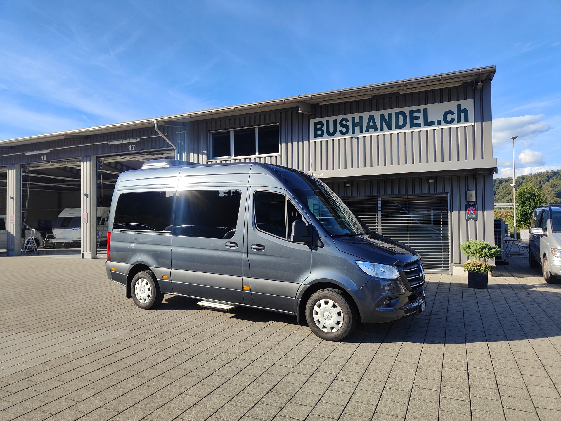 MERCEDES-BENZ 317 VIP Kleinbus-image-0