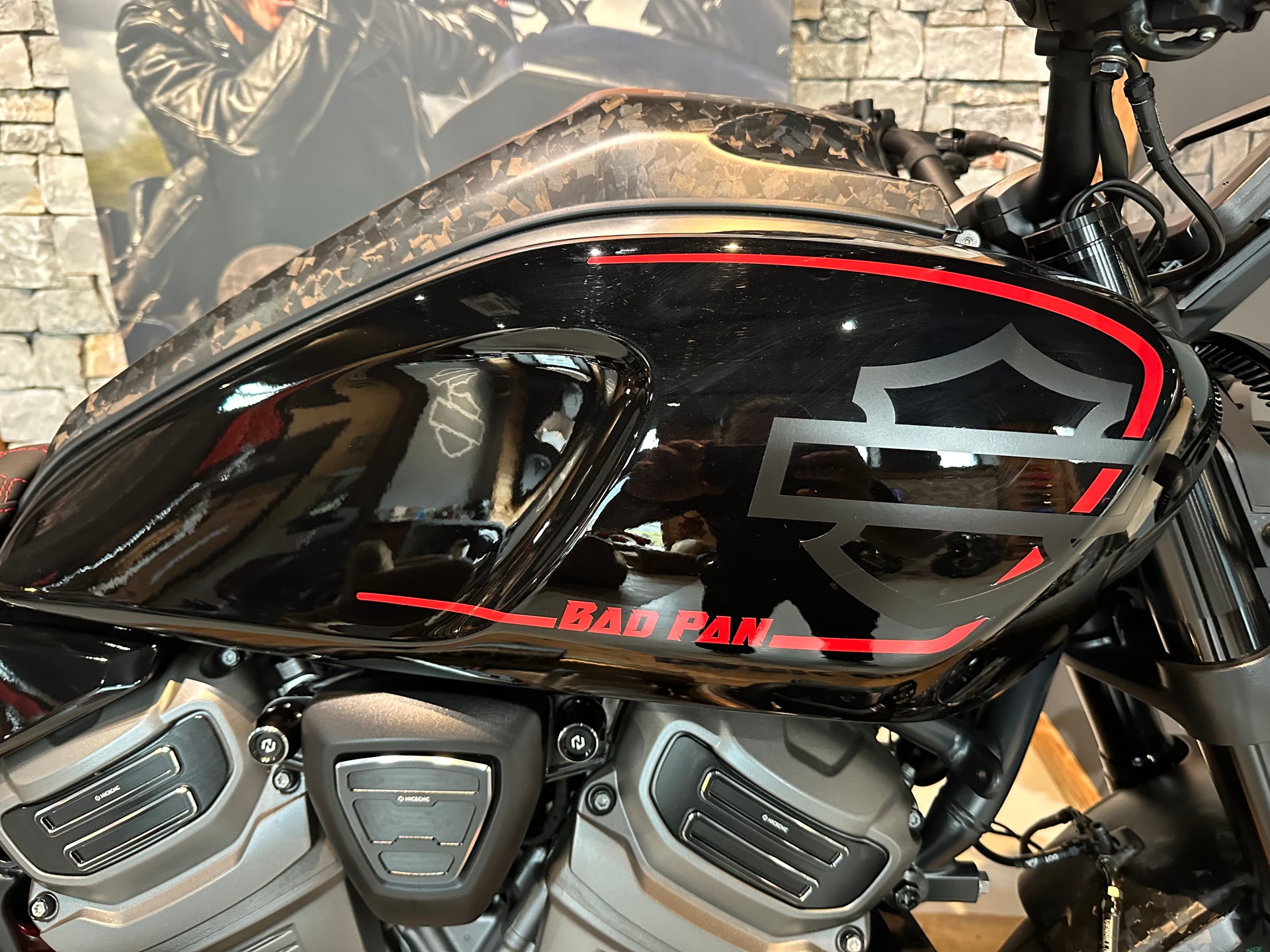 HARLEY-DAVIDSON RA Pan America 1250 Special-image-7