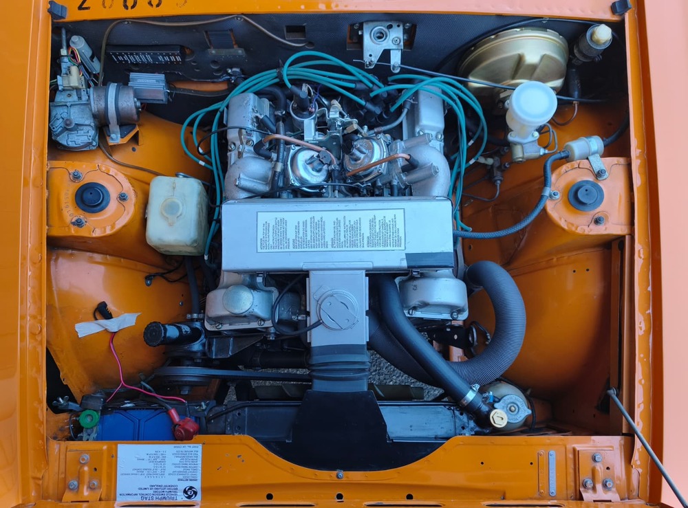 TRIUMPH Stag-image-14