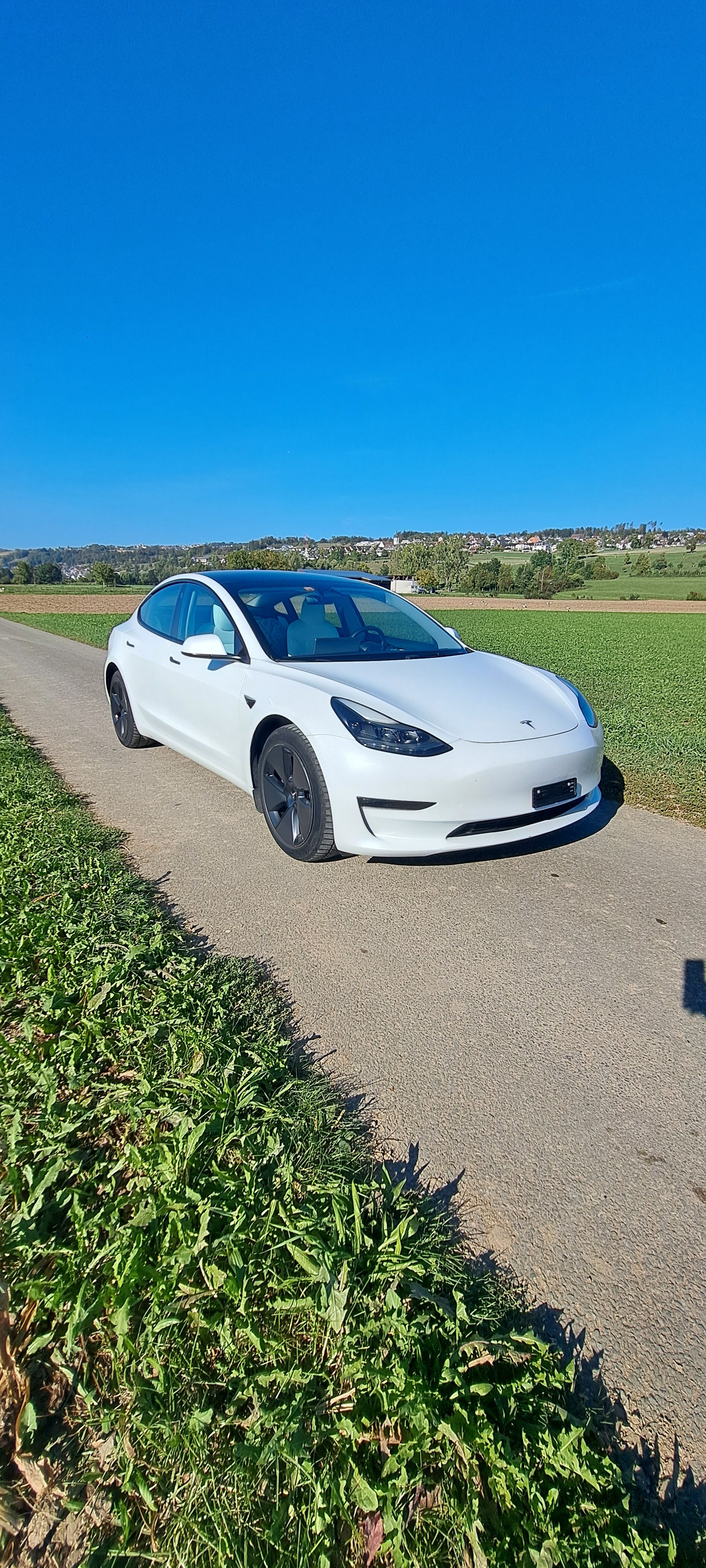 TESLA Long Range D-image-0