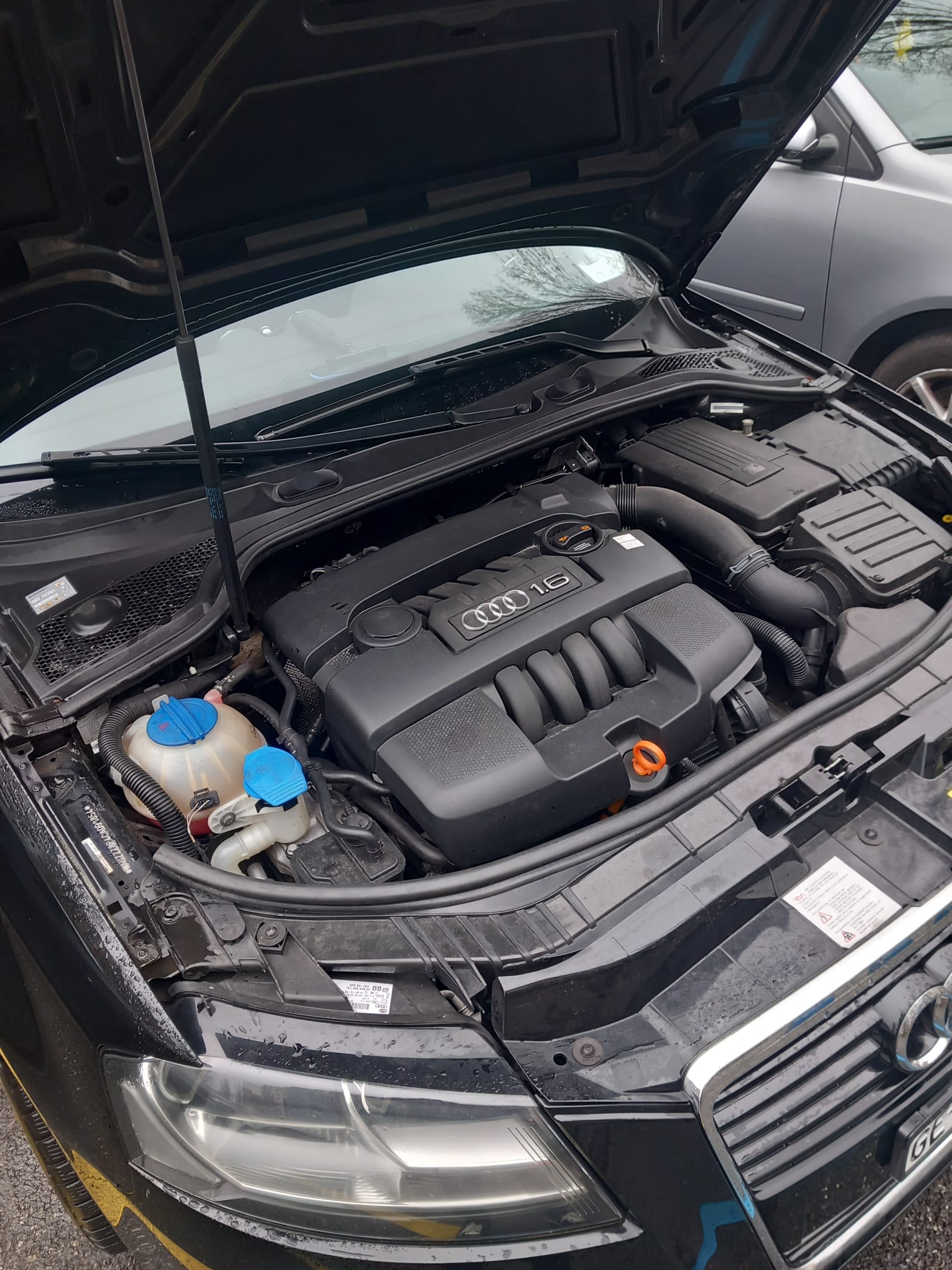 AUDI A3-image-5