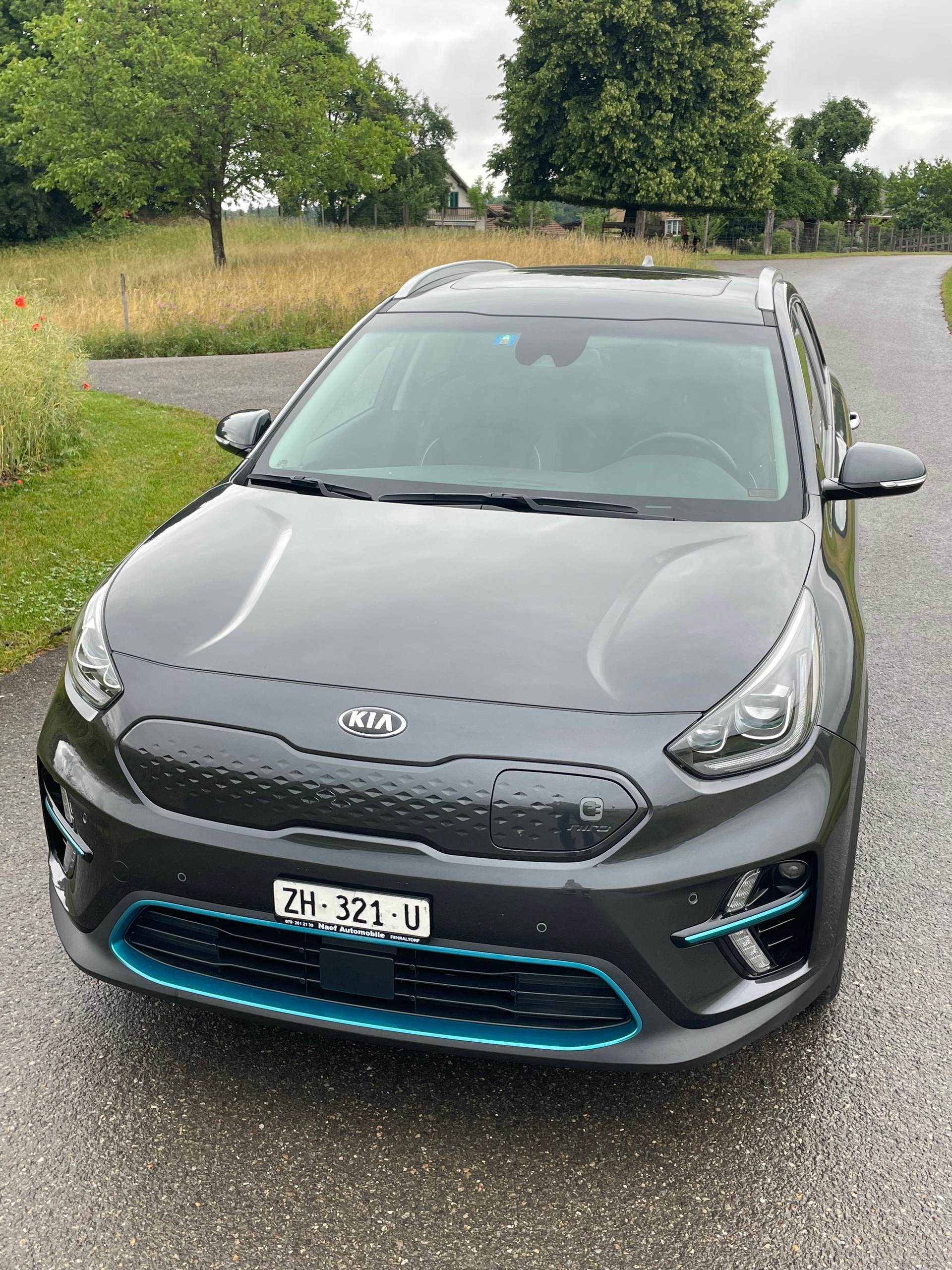 KIA e Niro 64 kWh Style-image-1