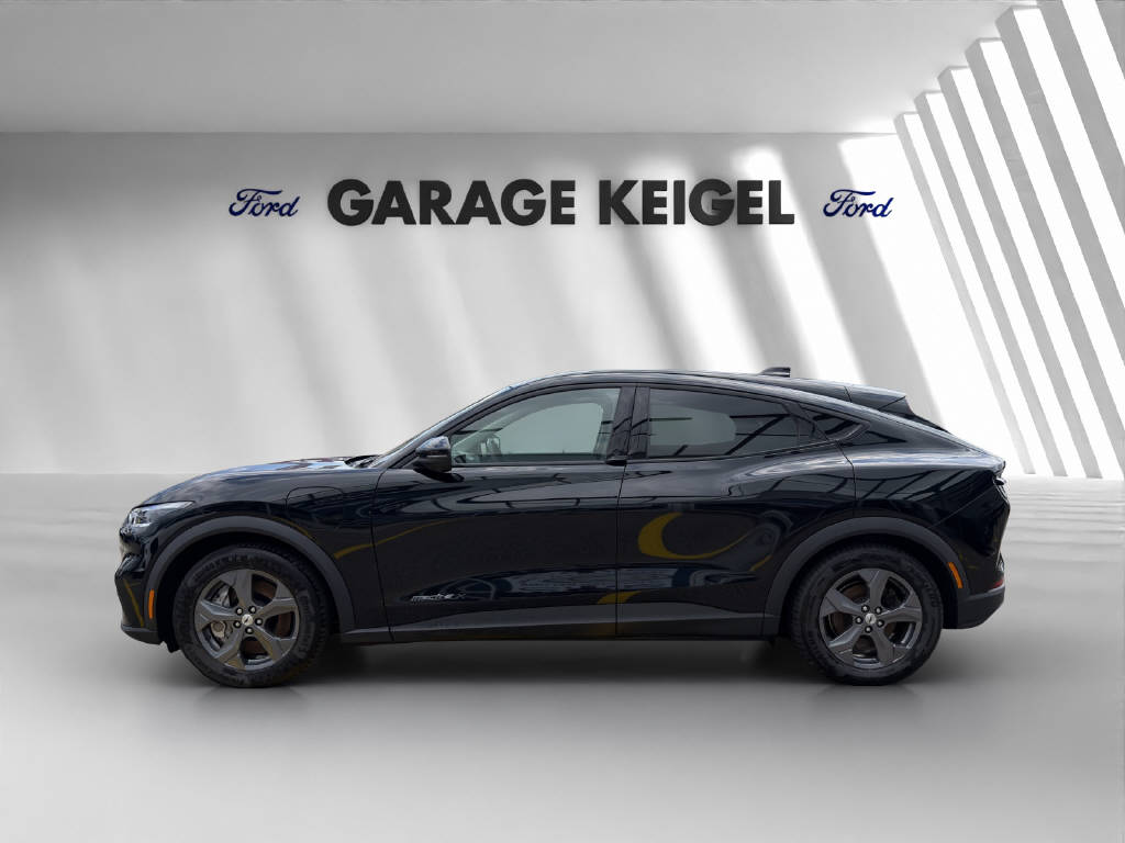 FORD Mustang Mach-E Extended-image-1