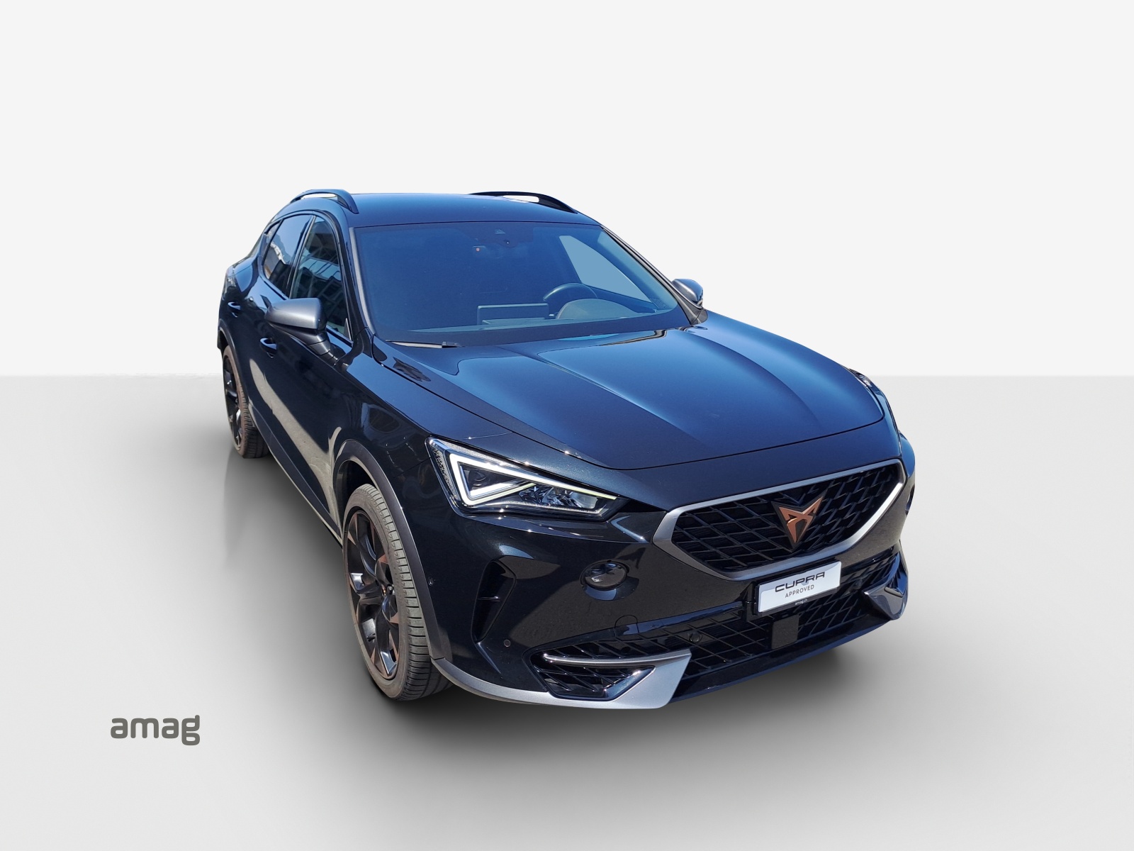 CUPRA Formentor 2.0TSI Tribe Edition 4Drive DSG-image-15