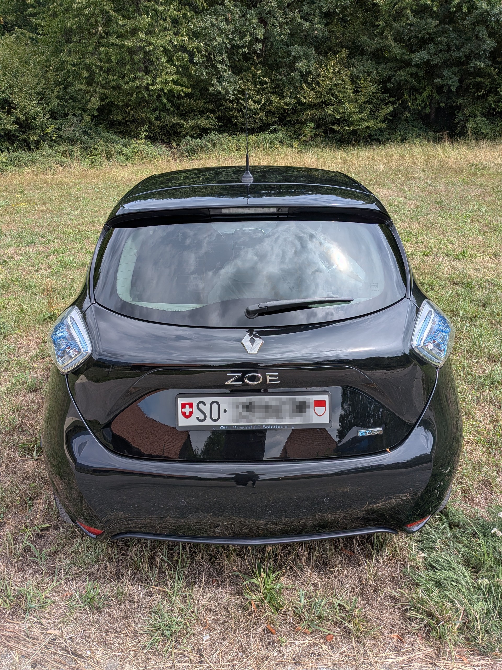 RENAULT R110 Limited mit neuem Motor und Batteriegesundheit 87%-image-3
