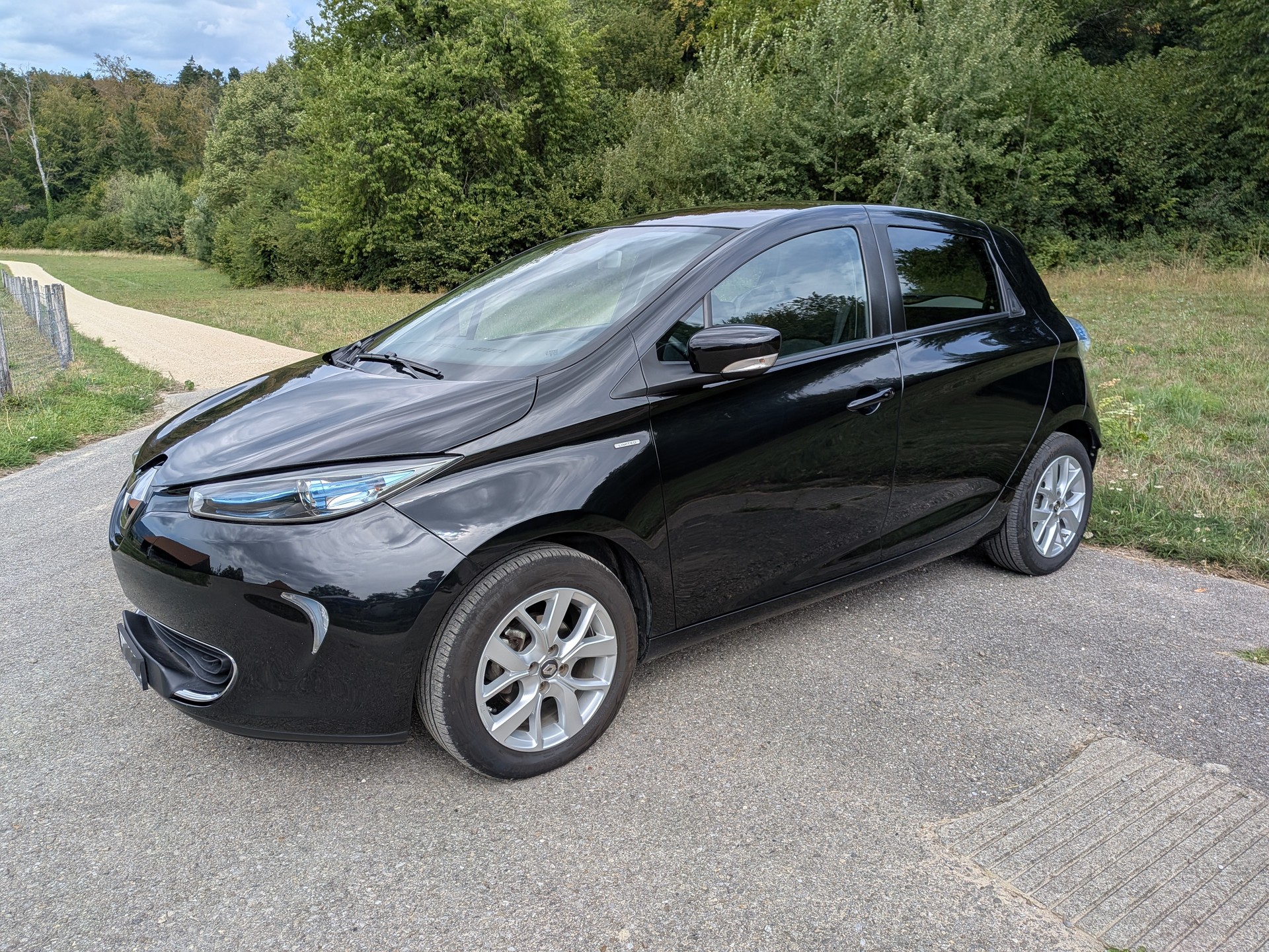 RENAULT R110 Limited mit neuem Motor und Batteriegesundheit 87%-image-0