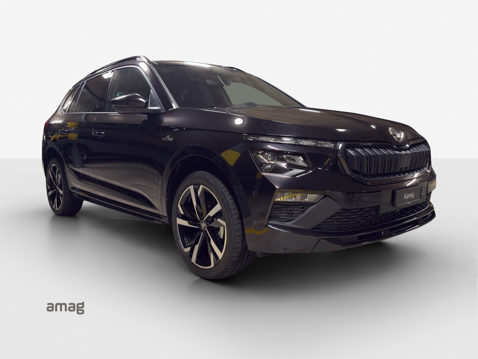 SKODA Kamiq 1.5 TSI Monte Carlo DSG-image-5