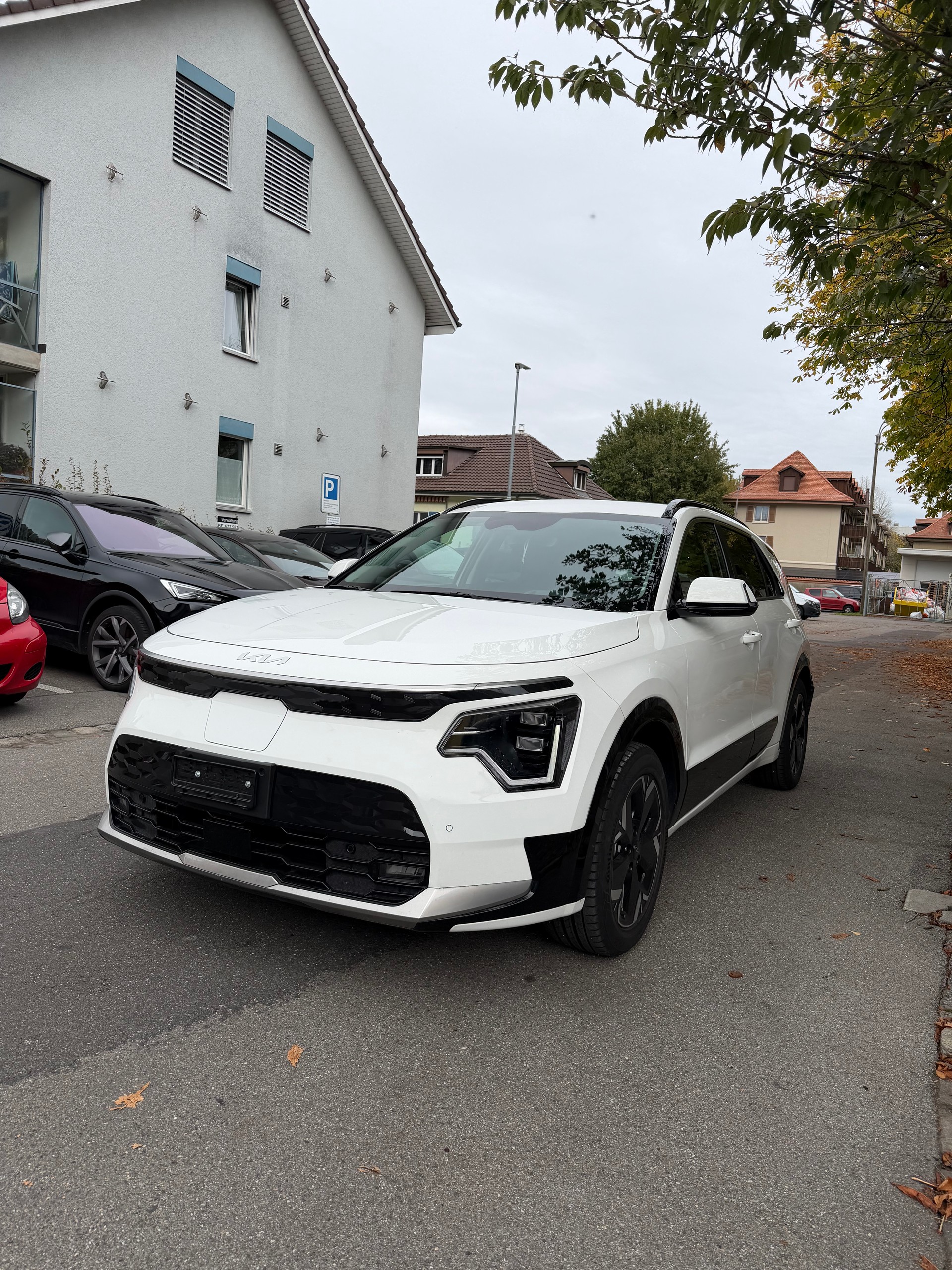 KIA Niro EV 64,8 kWh Edition 30-image-2