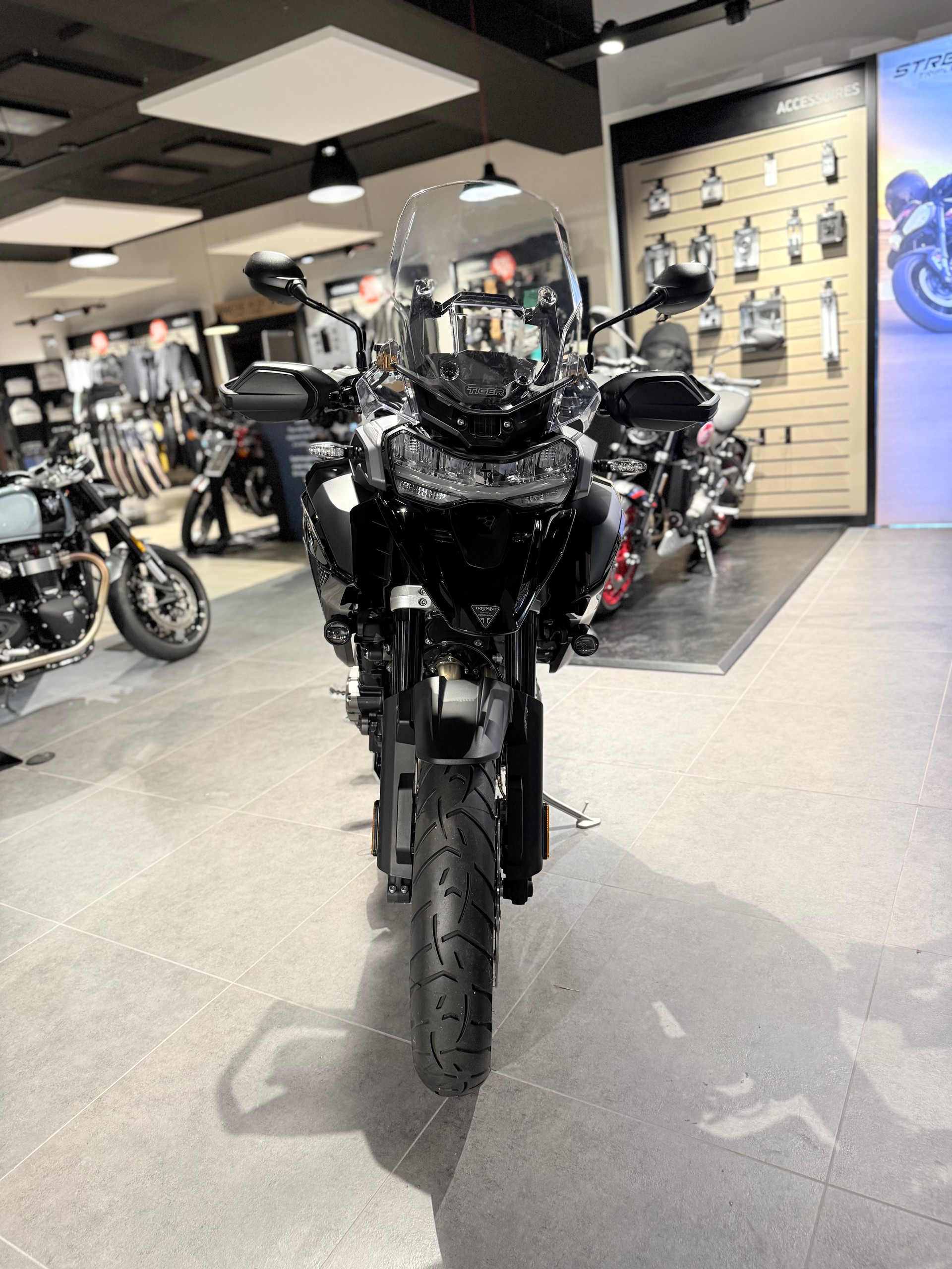 TRIUMPH Tiger 1200 GT Pro-showroom-element-1