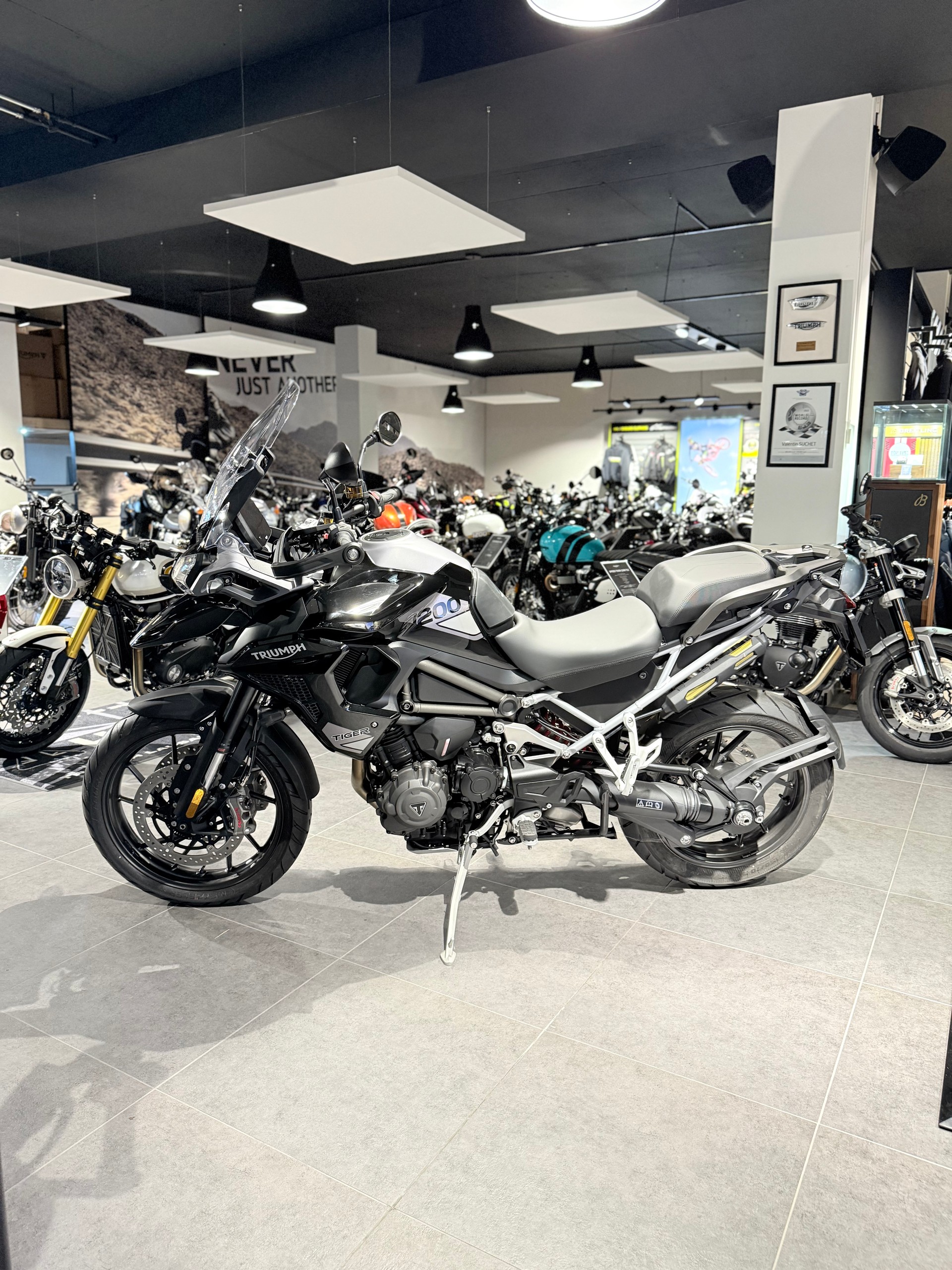 TRIUMPH Tiger 1200 GT Pro