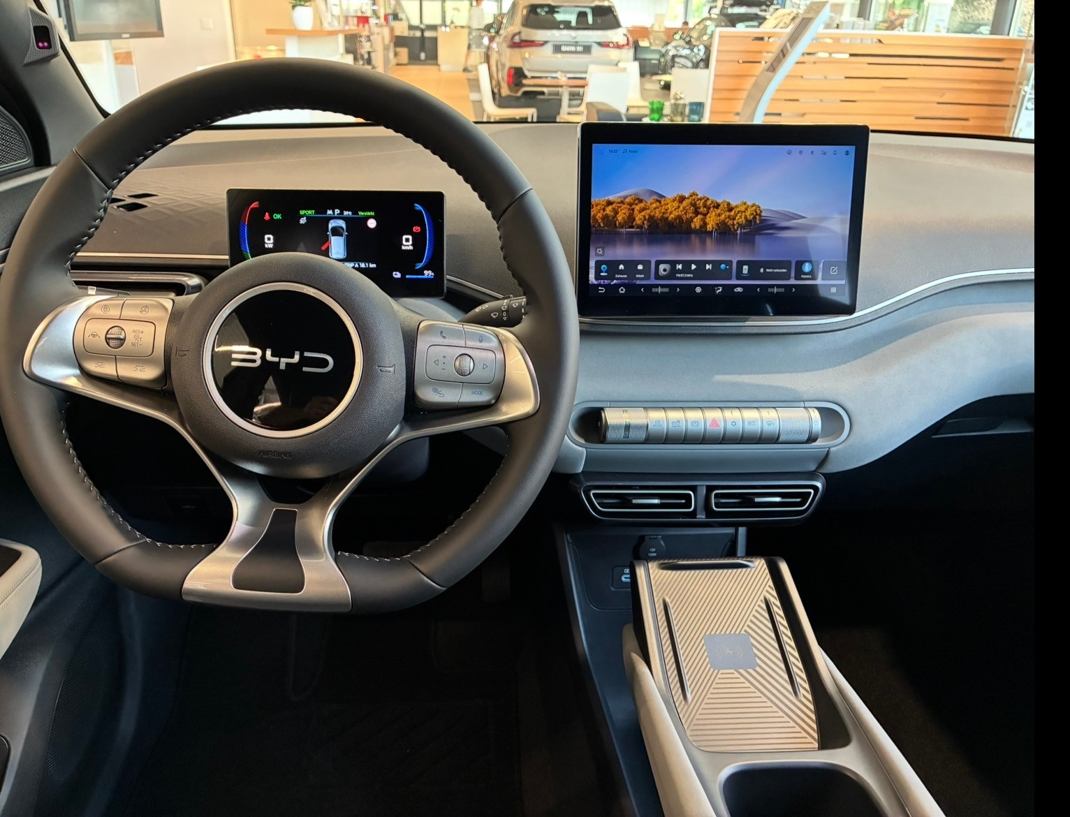 BYD Dolphin Surf Comfort-image-13