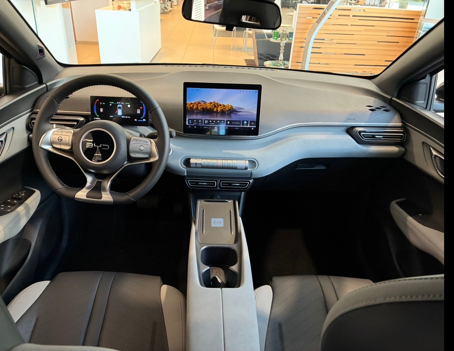 BYD Dolphin Surf Comfort-image-12