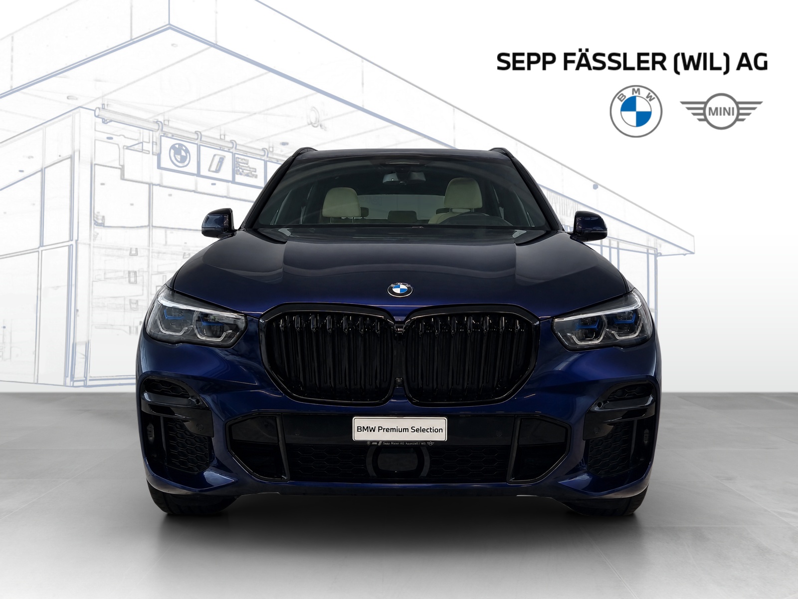 BMW X5 xDrive 48V 40d M Sport Steptronic-image-24