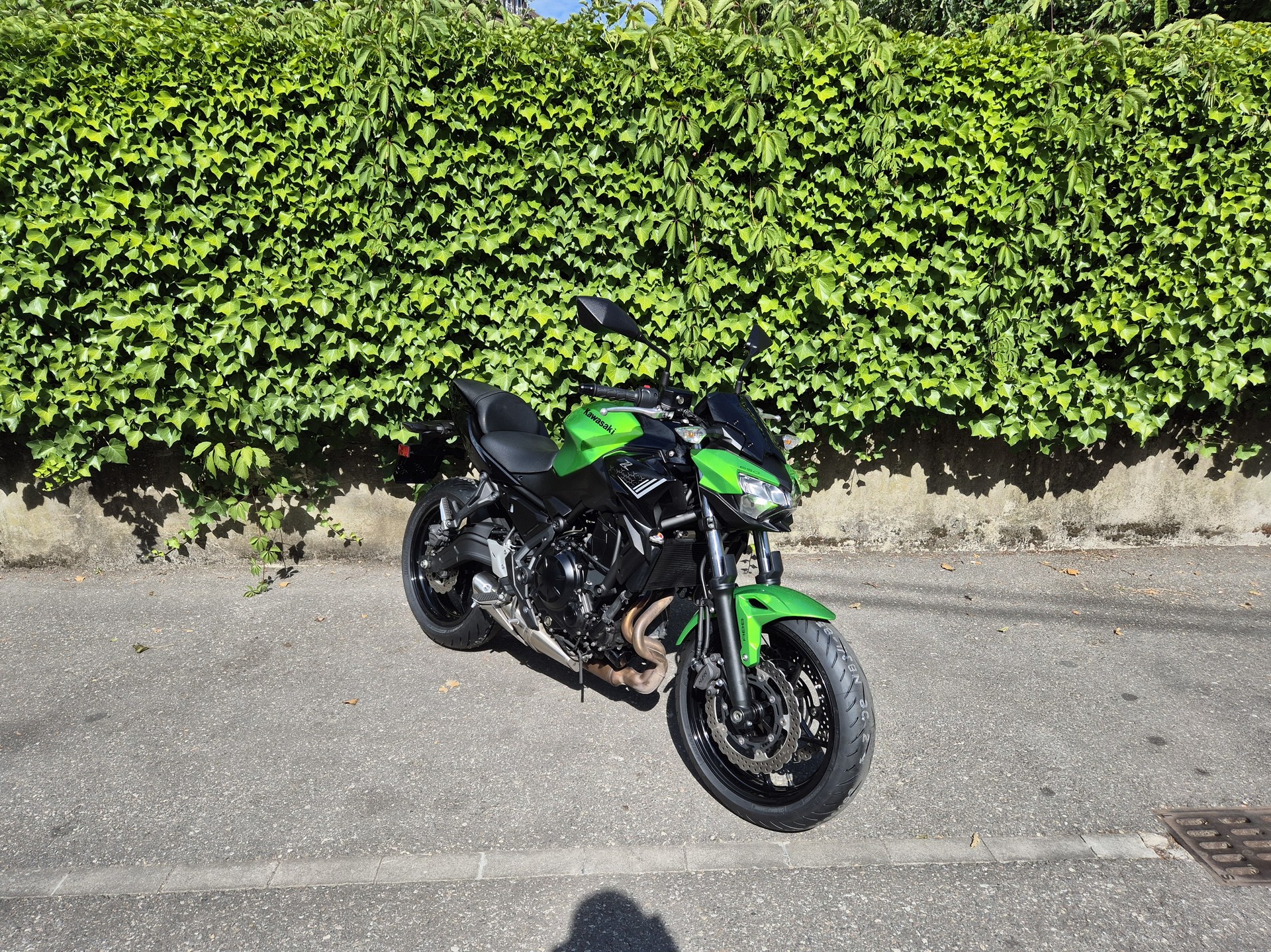 KAWASAKI Z 650 (35kW)-image-5