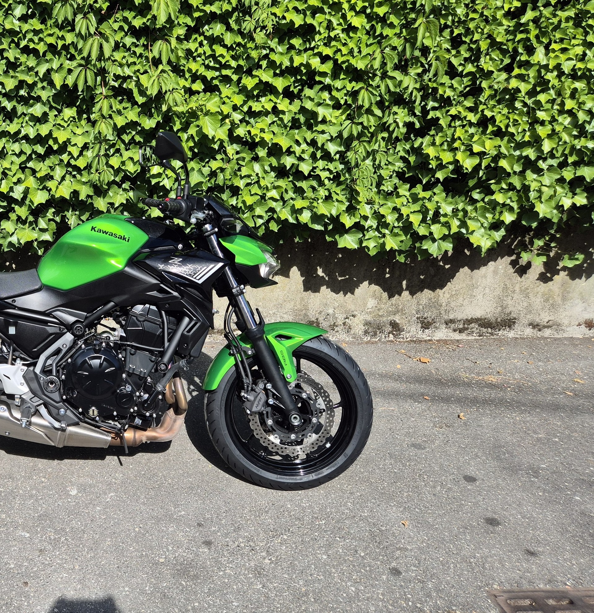KAWASAKI Z 650 (35kW)-image-11