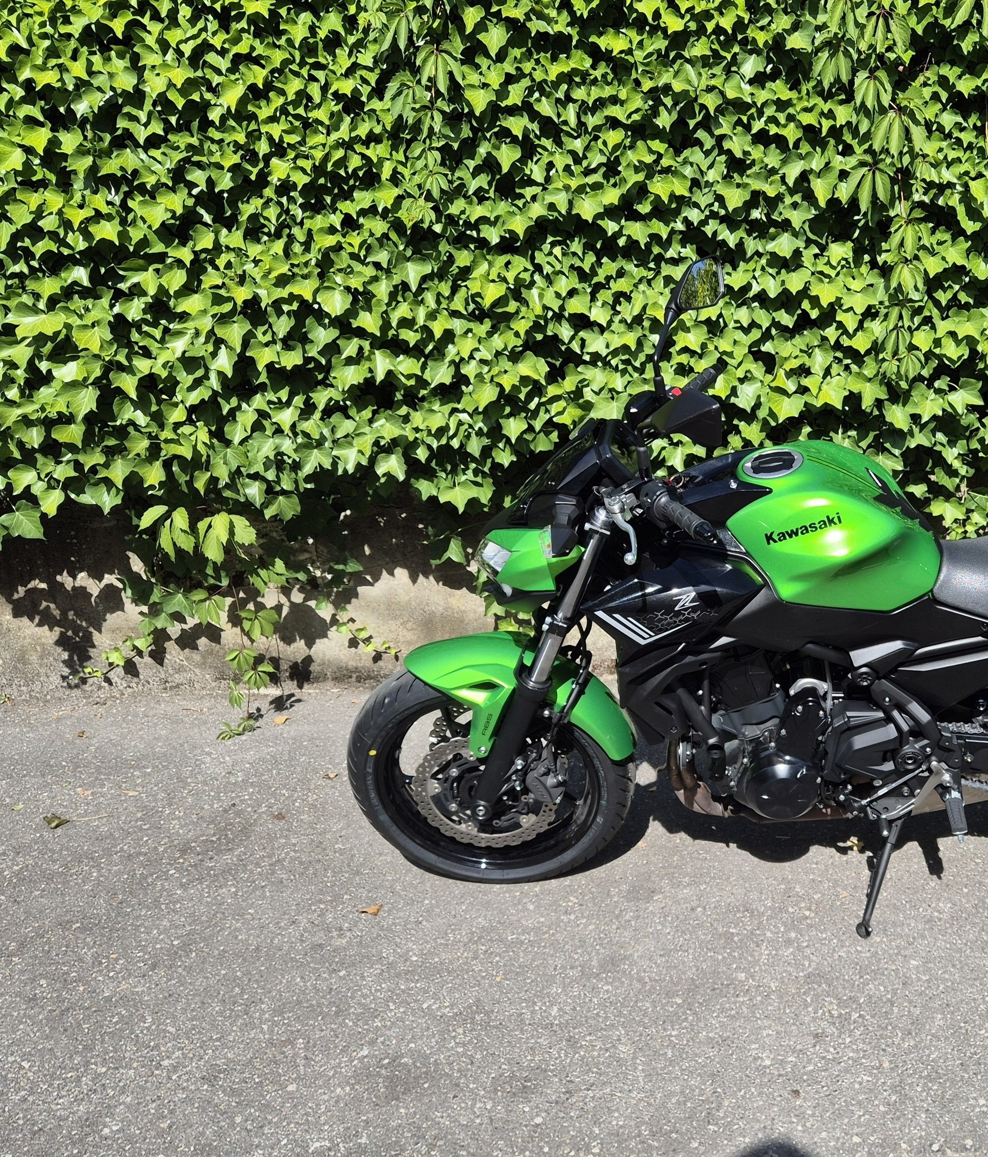 KAWASAKI Z 650 (35kW)-image-9