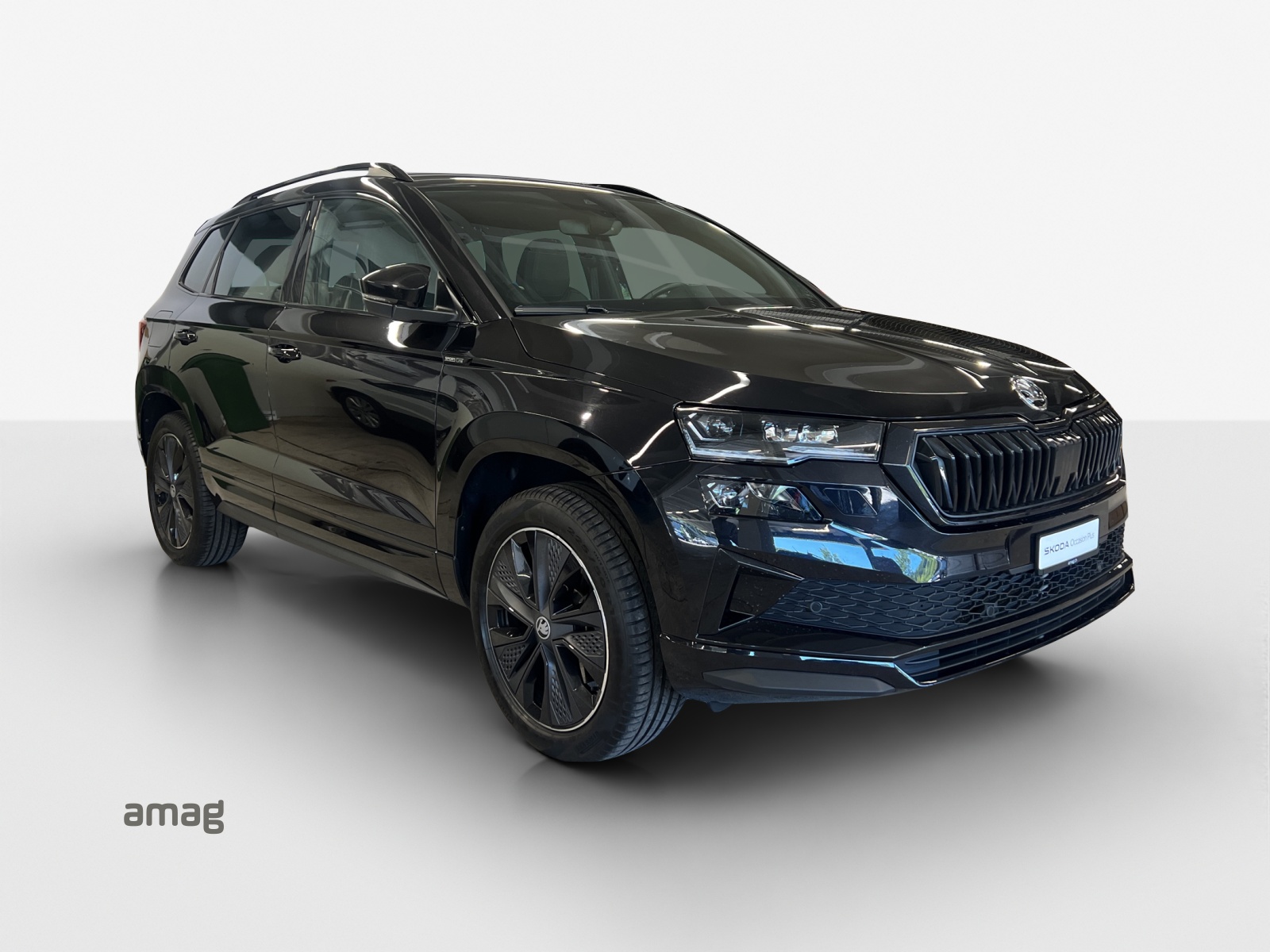SKODA Karoq 2.0 TSI SportLine 4x4 DSG-image-5