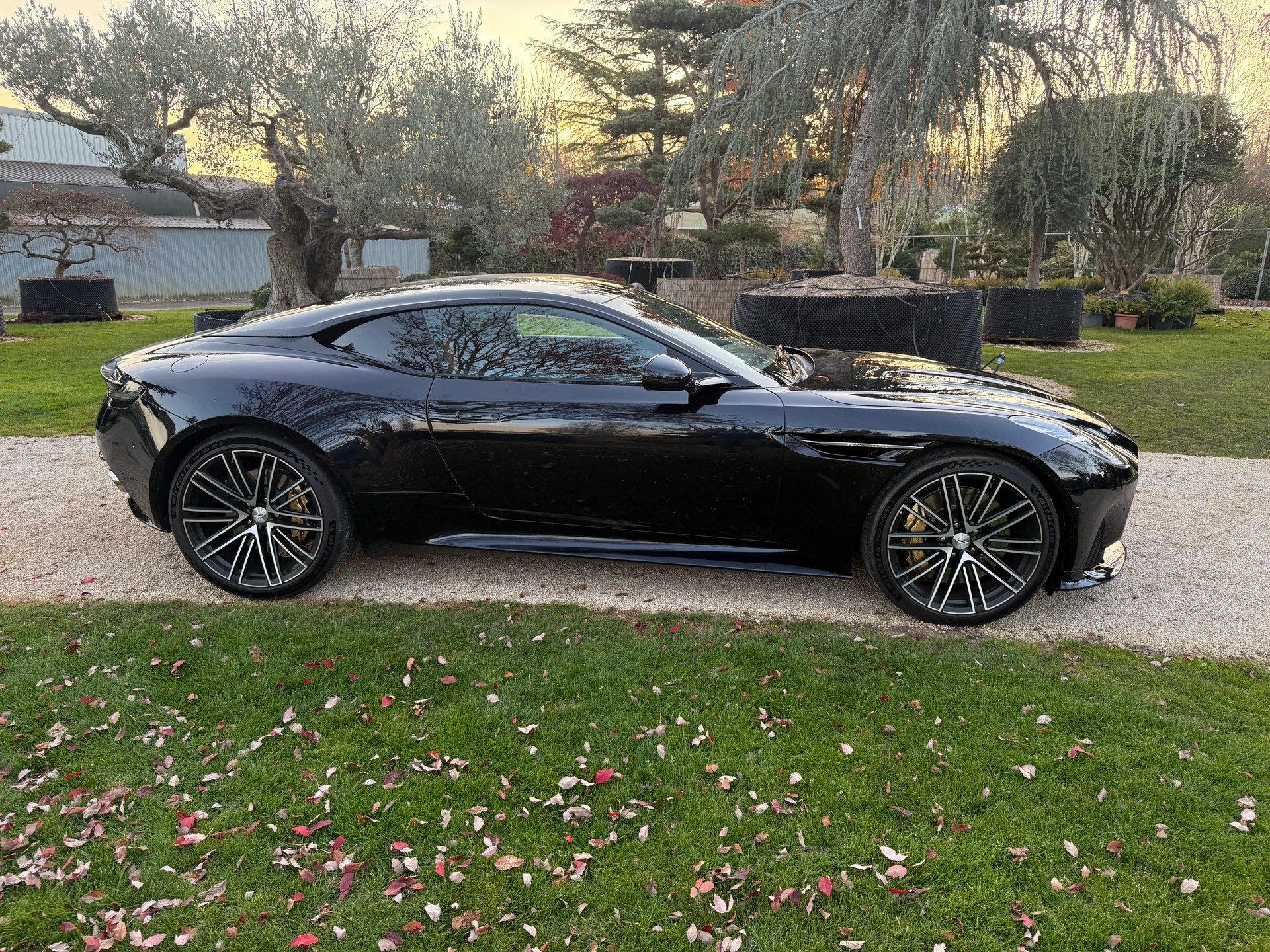 ASTON MARTIN DB12-image-6